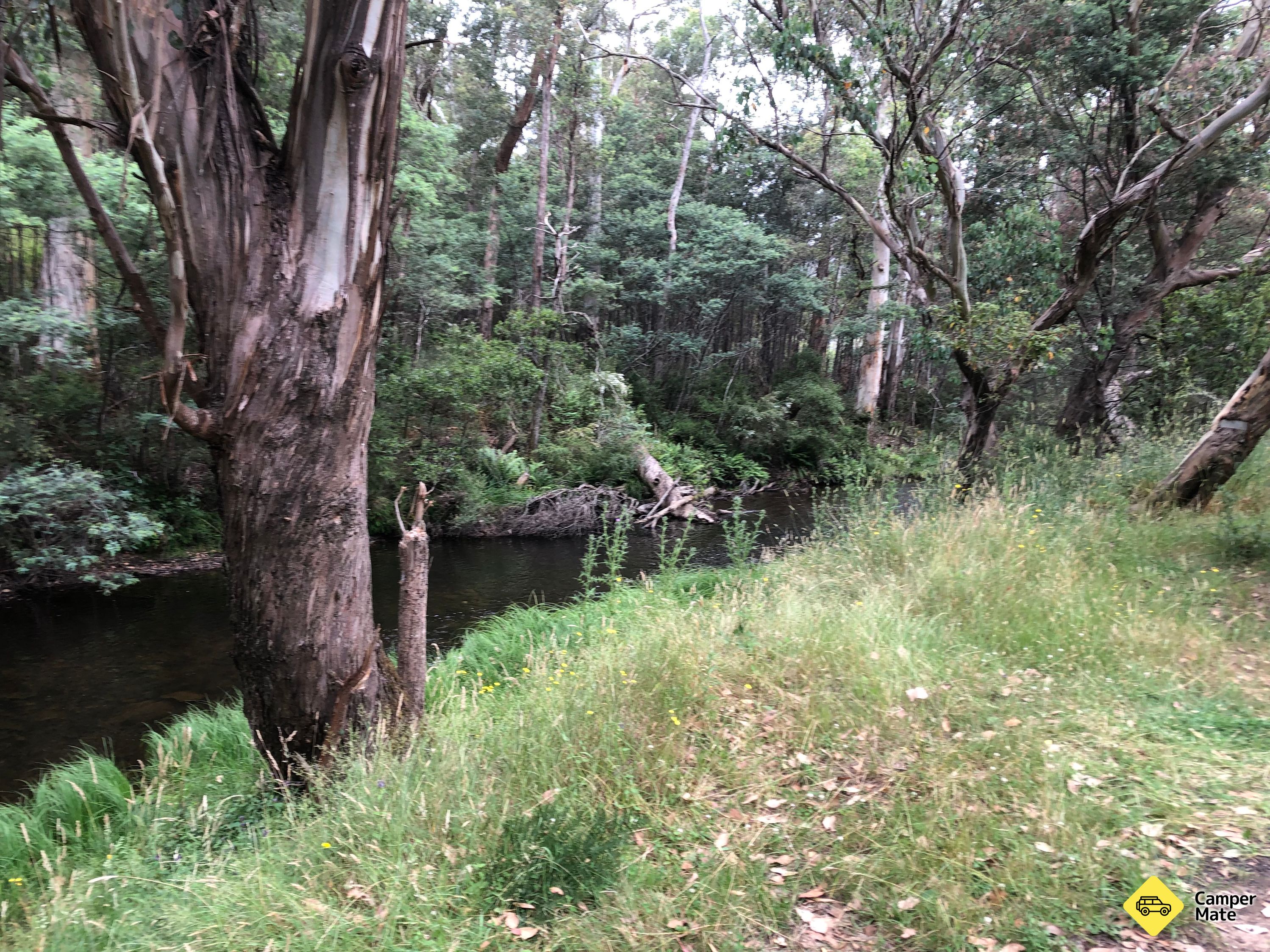 Gibbo River Bush Campingplätze