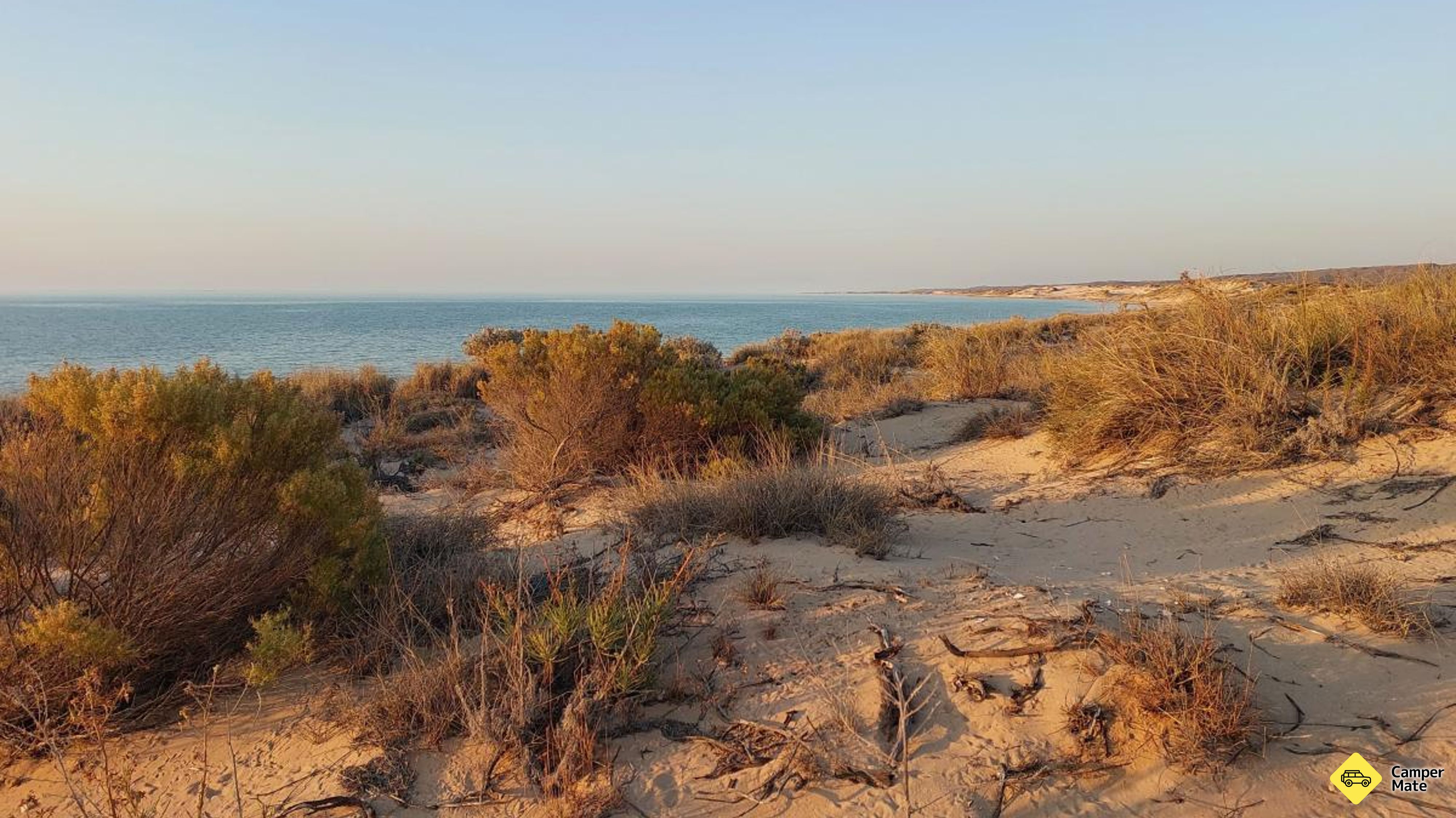 แคมป์ Yardie Creek