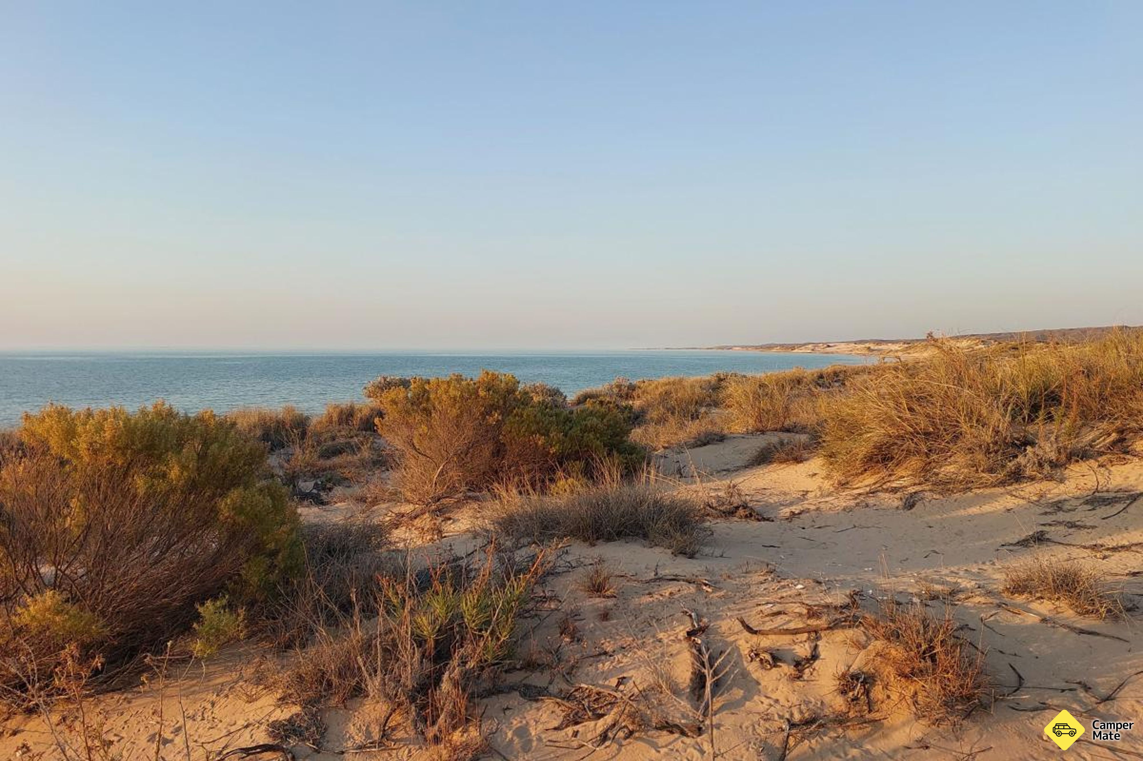 Campingplatz Yardie Creek