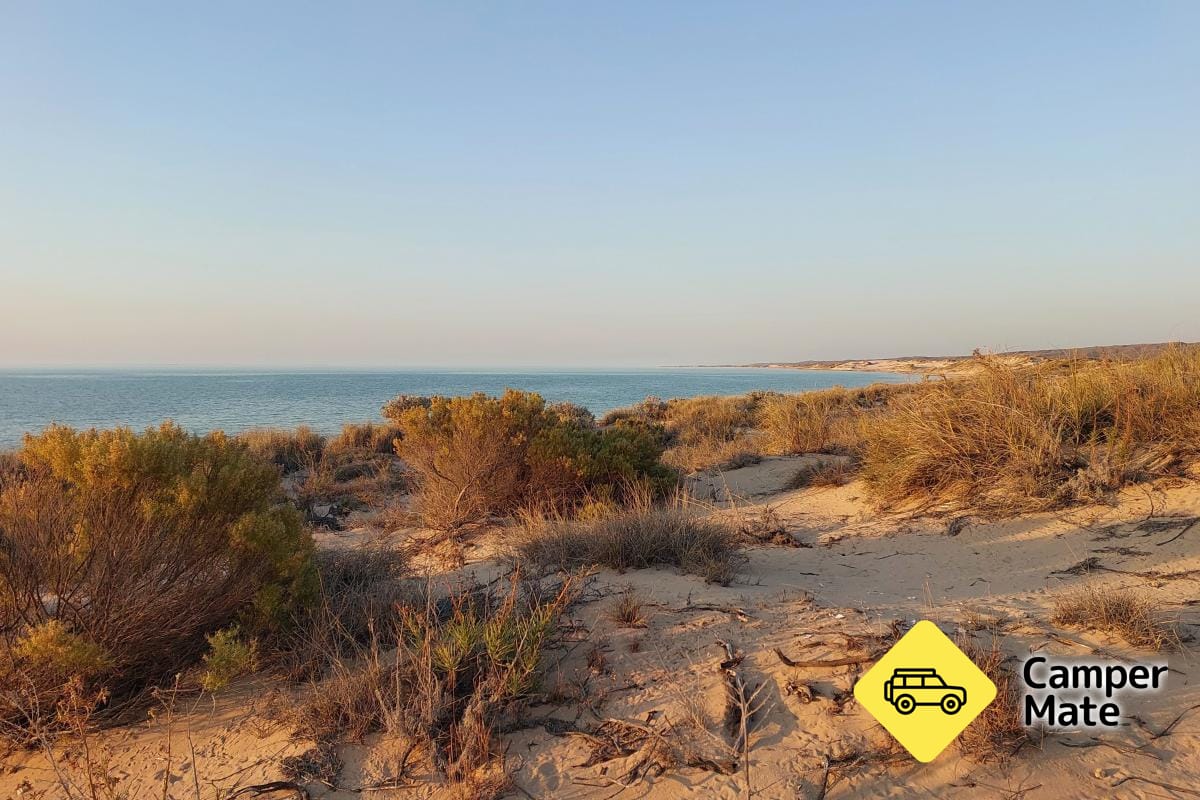 Campingplatz Yardie Creek