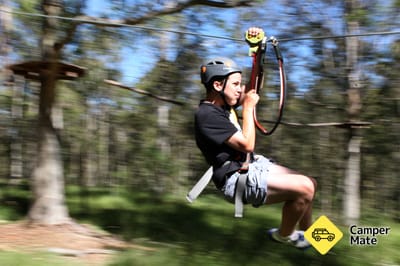 Treetops Adventure Western Sydney
