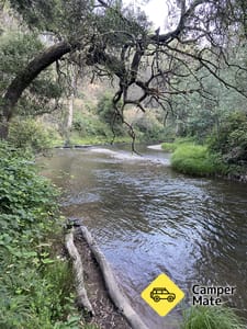 Snakes Reserve