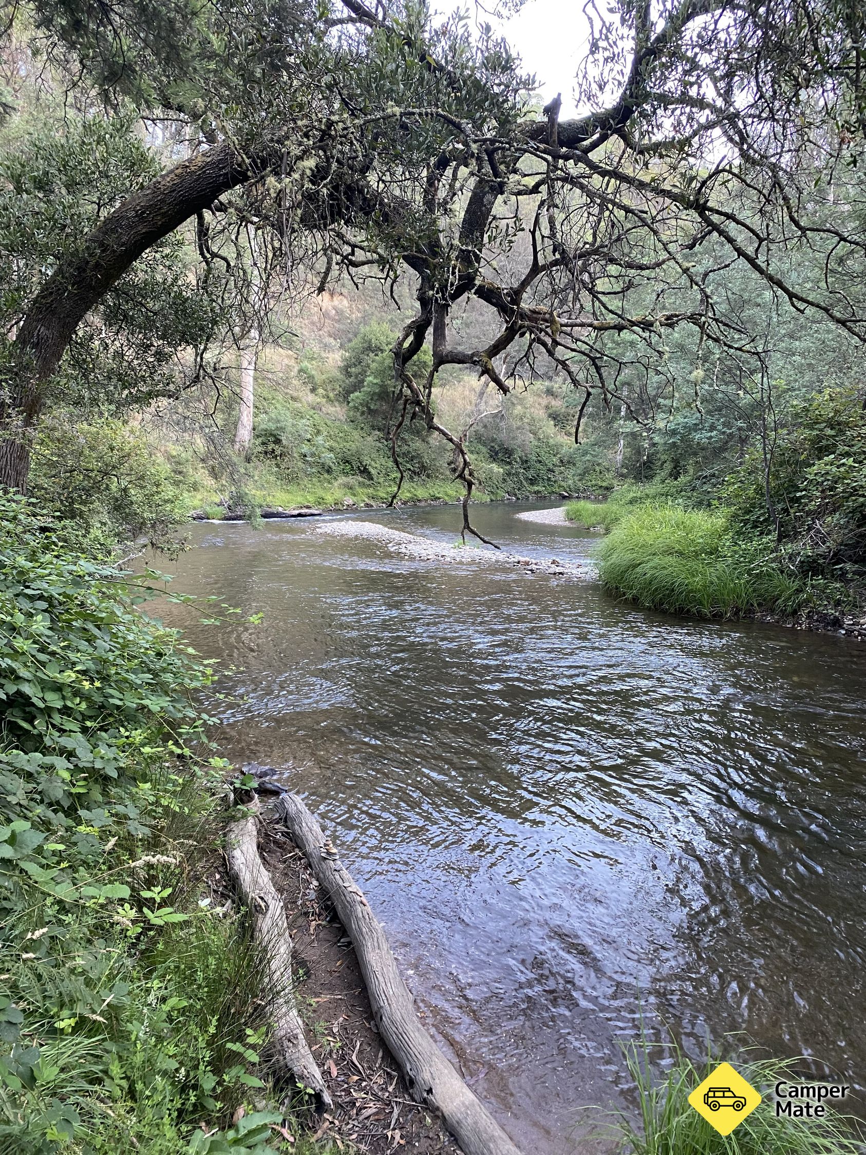 Snakes Reserve