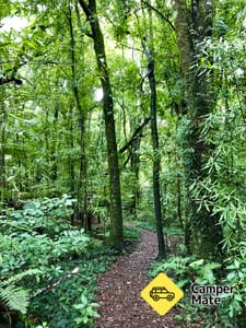 Ngahopua Track