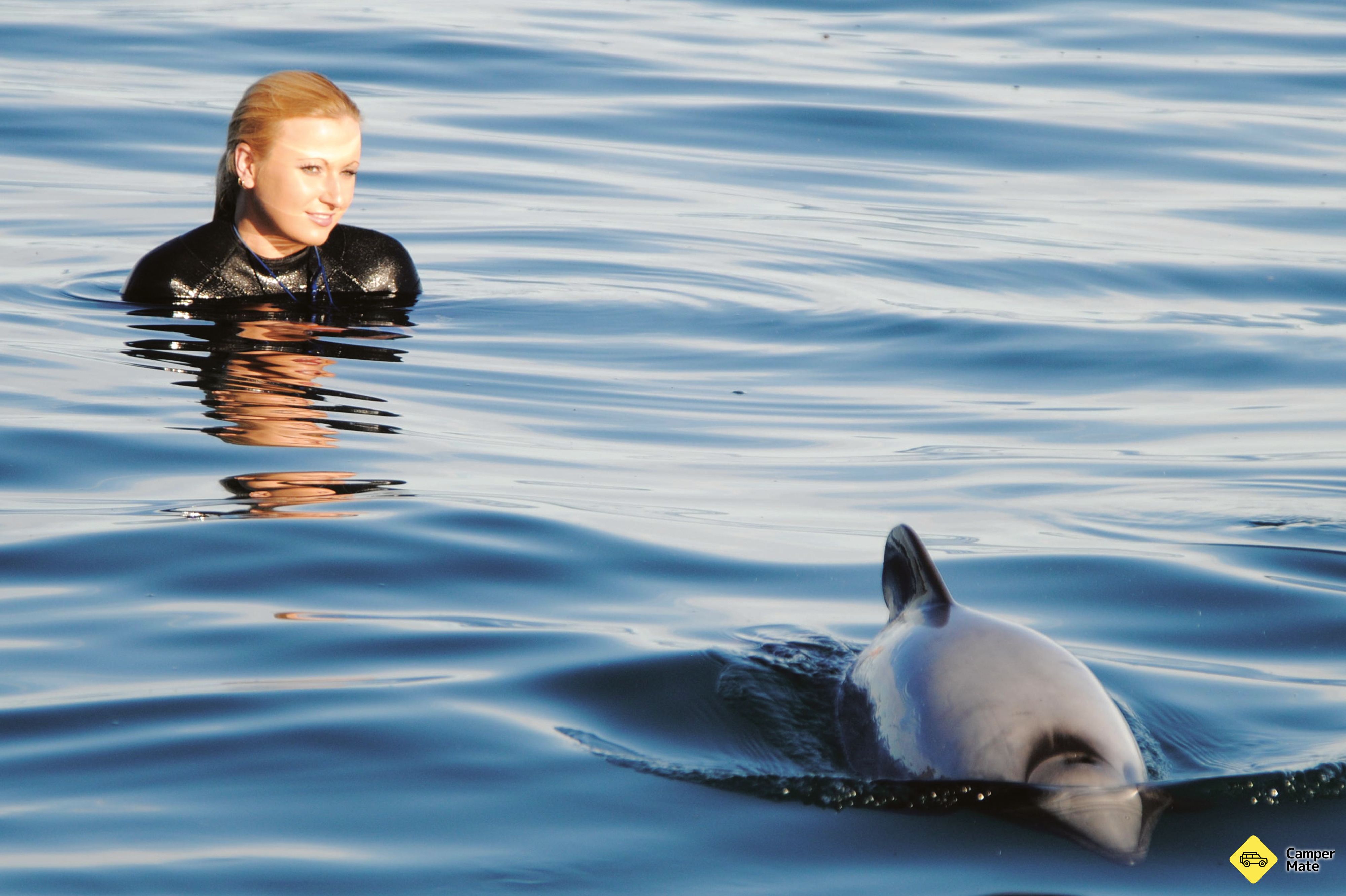 Akaroa Nature and Wildlife Cruises - Image 2