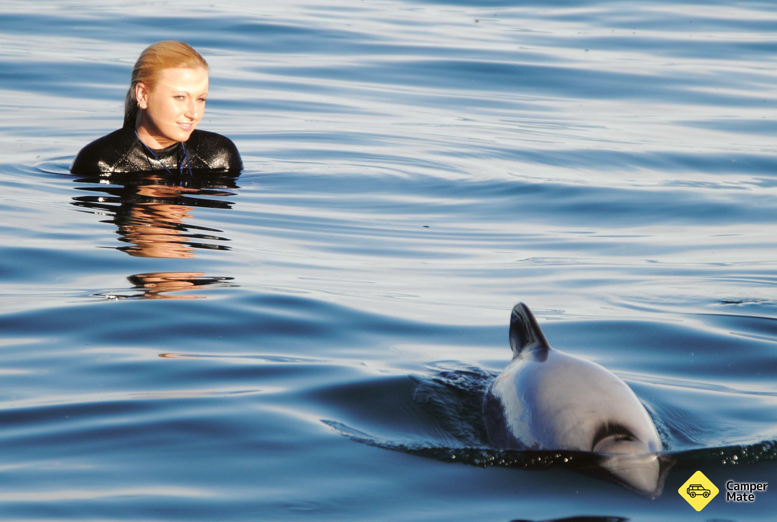 Akaroa Nature and Wildlife Cruises - Image 2