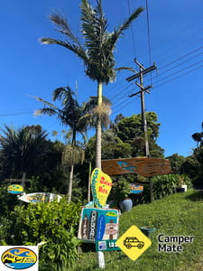 Piha Surf Shop and Camping