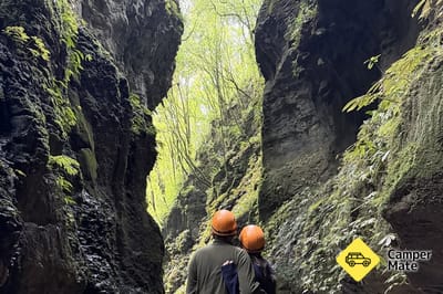 Restauranter i nærheden af Waitomo Eco Tours