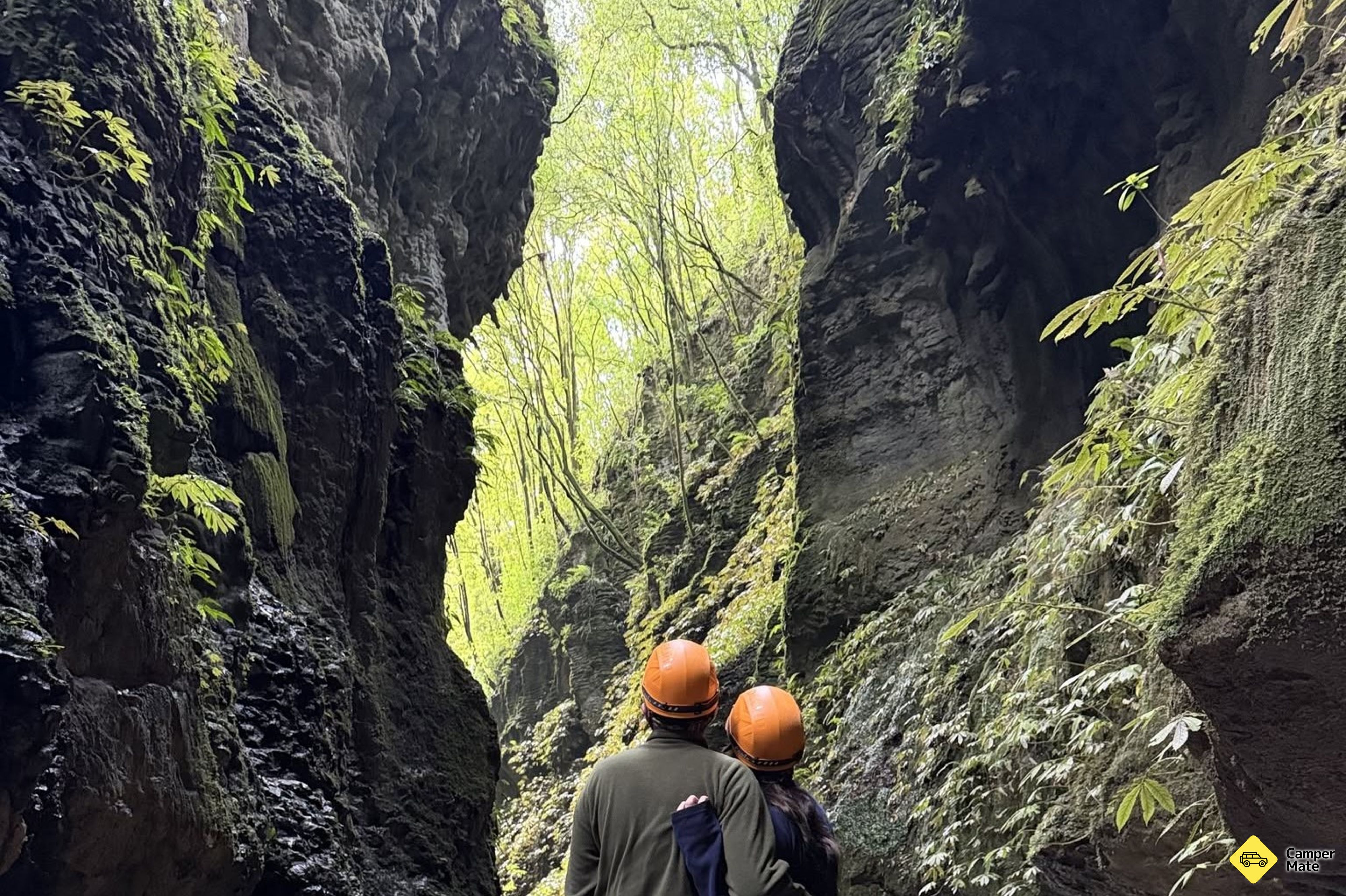 Restauranter i nærheden af Waitomo Eco Tours