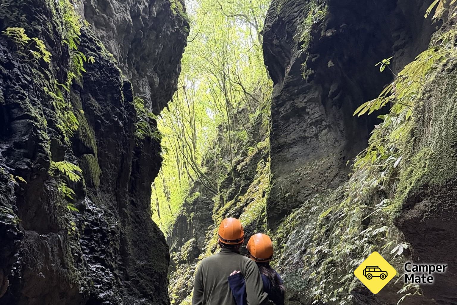 Down to Earth - Waitomo Eco Tours