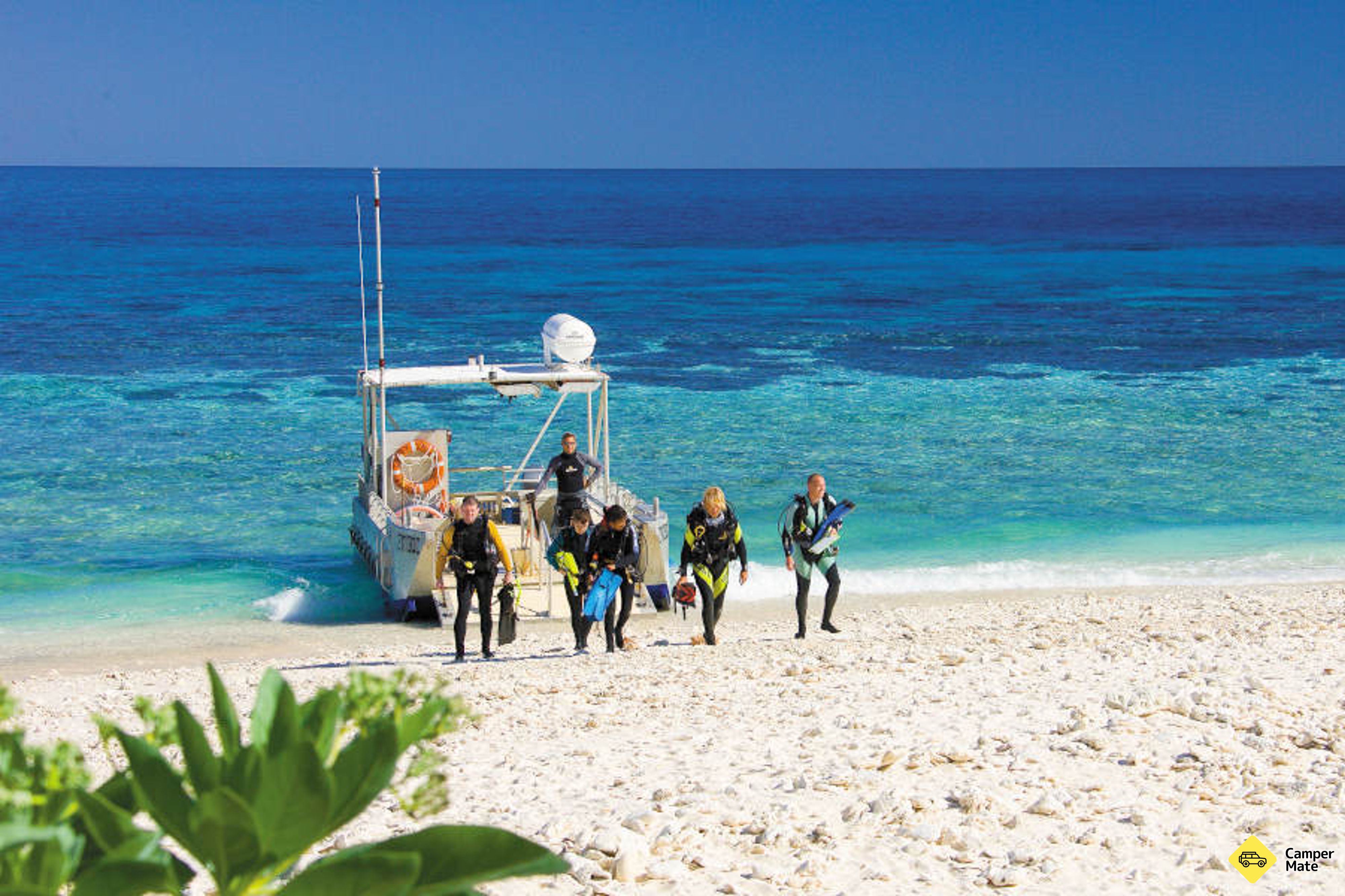 Tempat untuk menginap di Great Barrier Reef - Lady Musgrave Island - Image 2