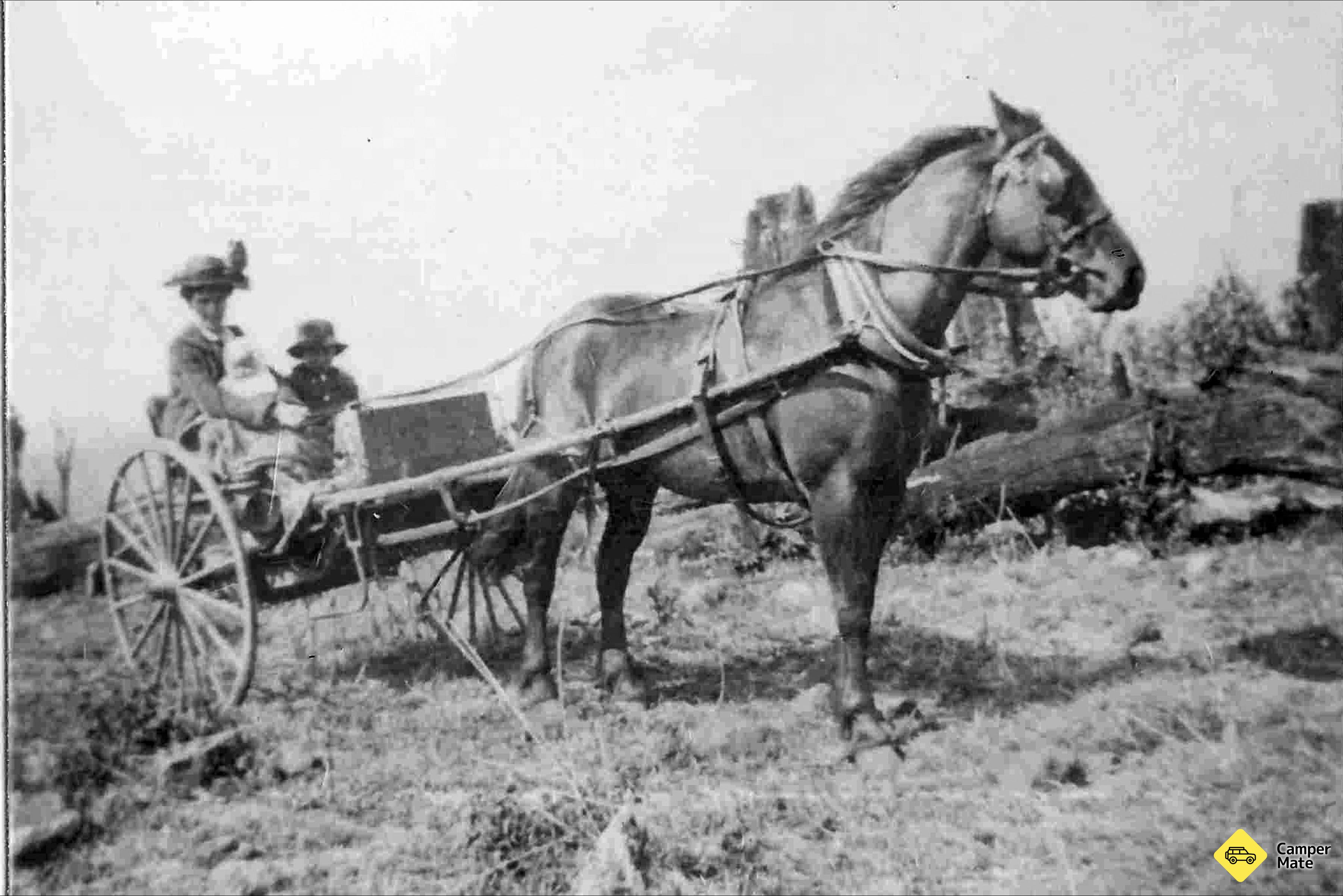 Don Dorrigo and Guy Fawkes Historical Society Museum - Image 2