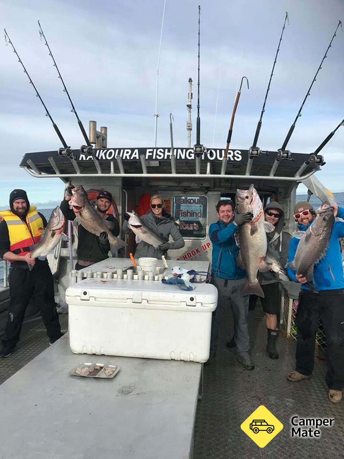 Kaikoura Fishing Tours - Image 3