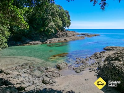 Hoani Waititi Reserve