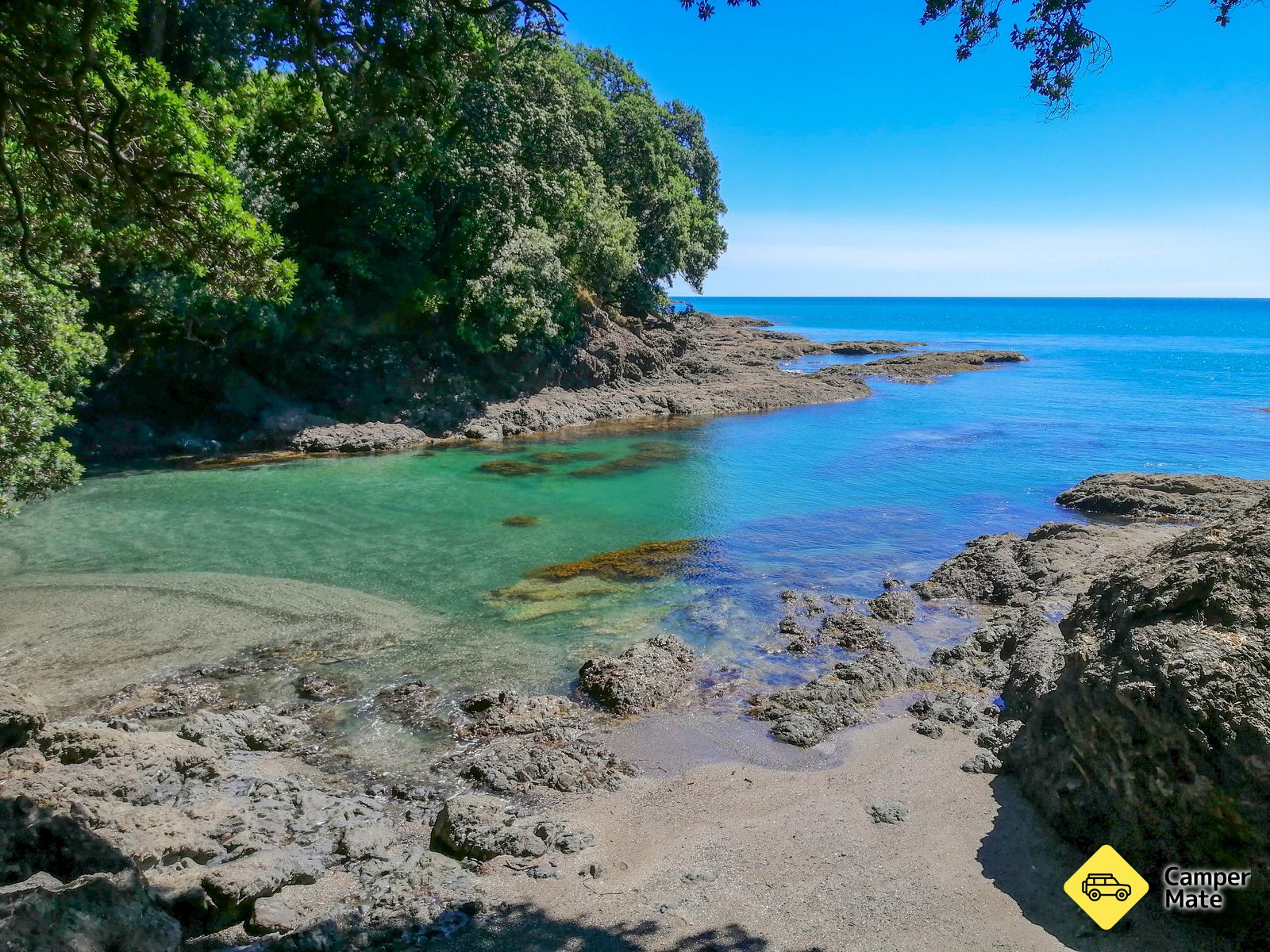 Hoani Waititi Reserve