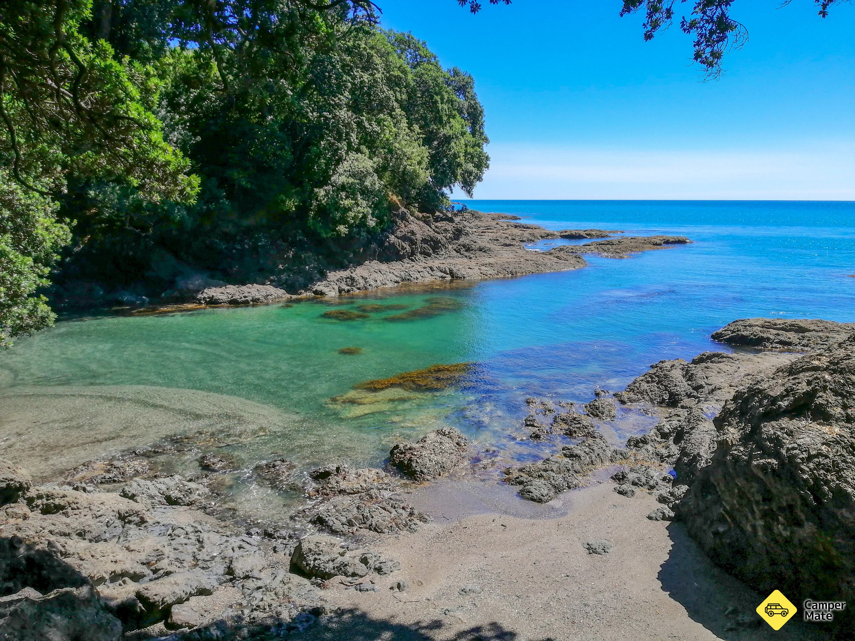 Hoani Waititi Reserve