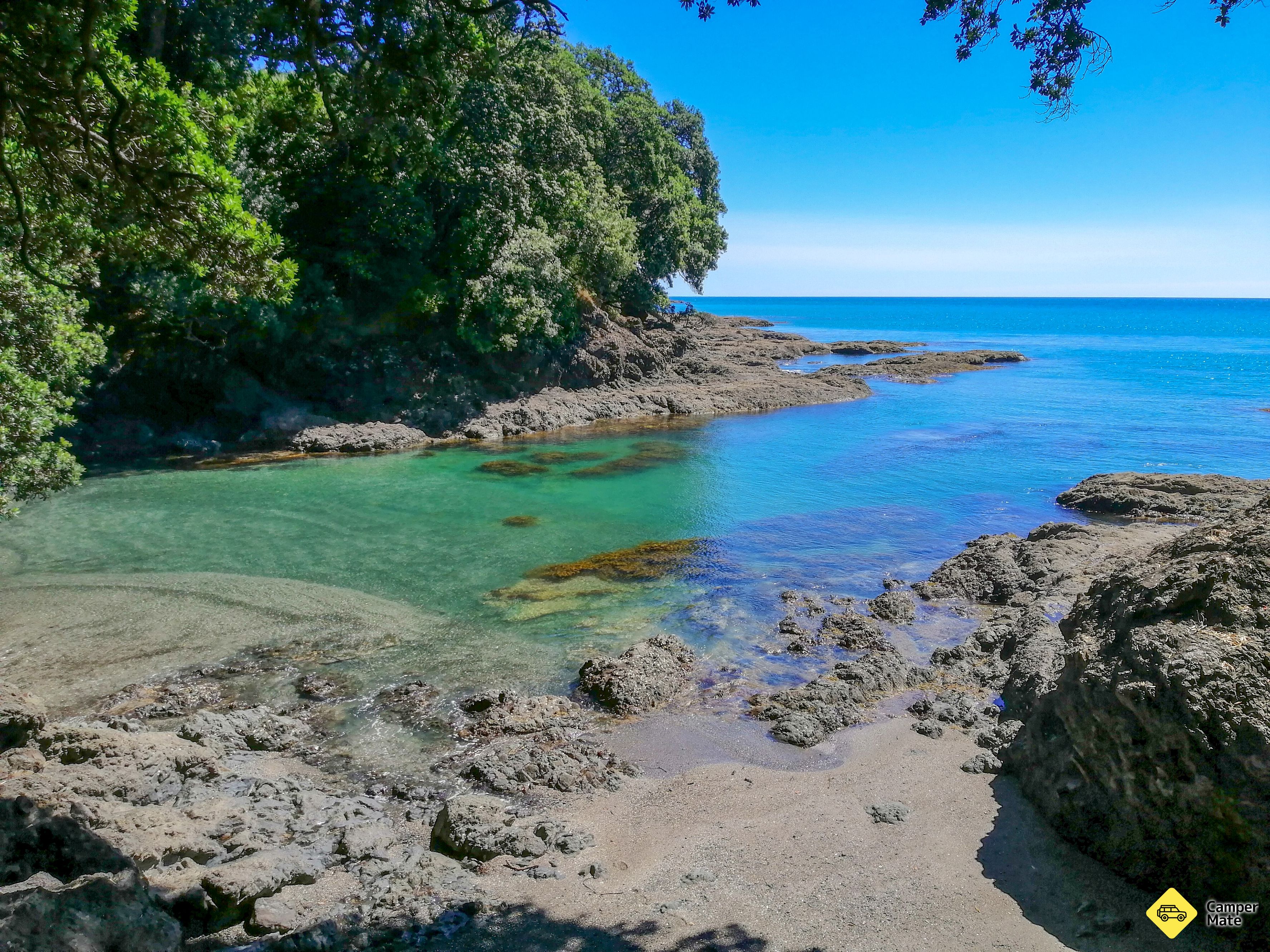 Hoani Waititi Reserve