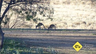 Hughenden RV Parking Area