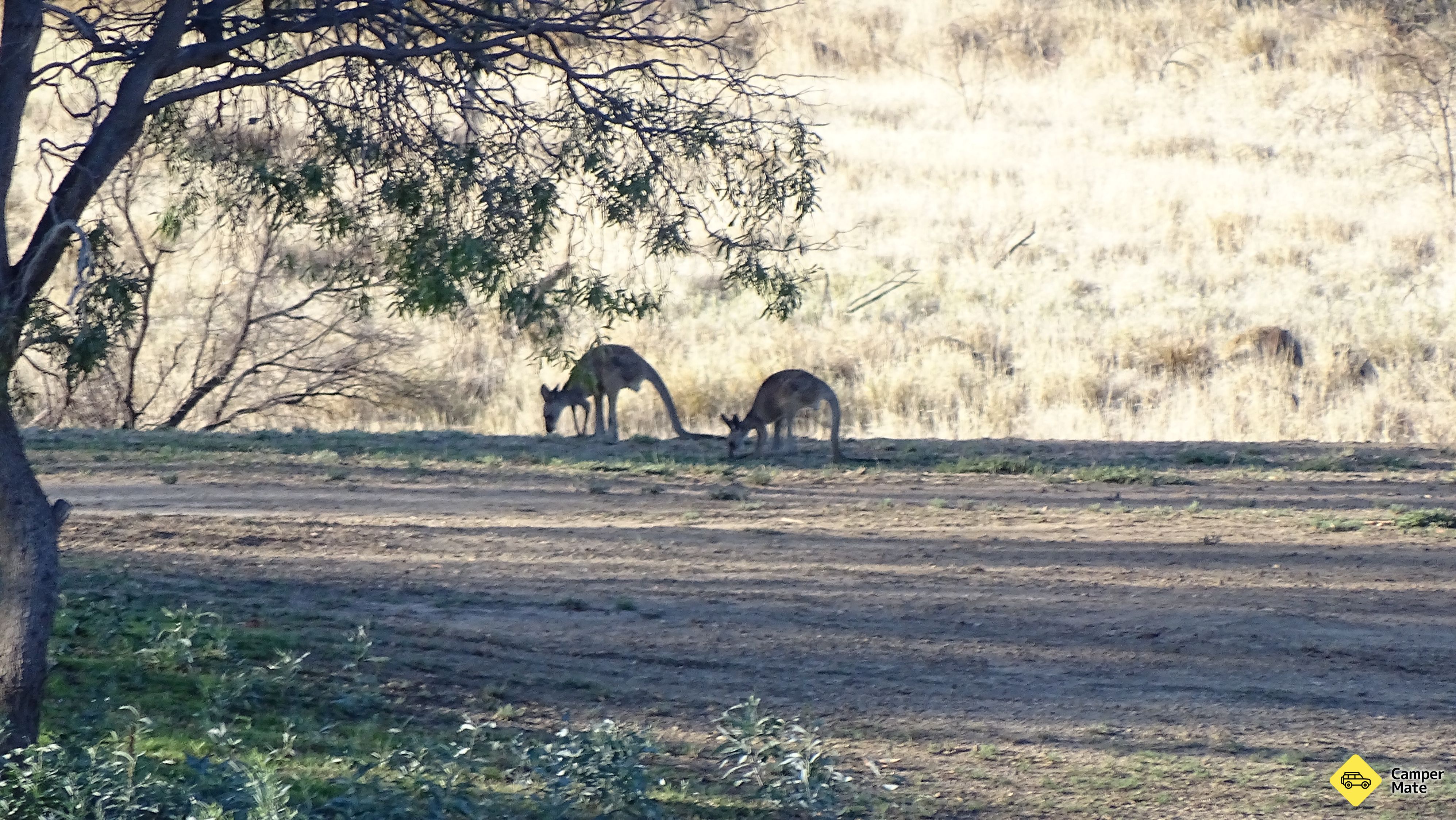 Hughenden RV Parking Area