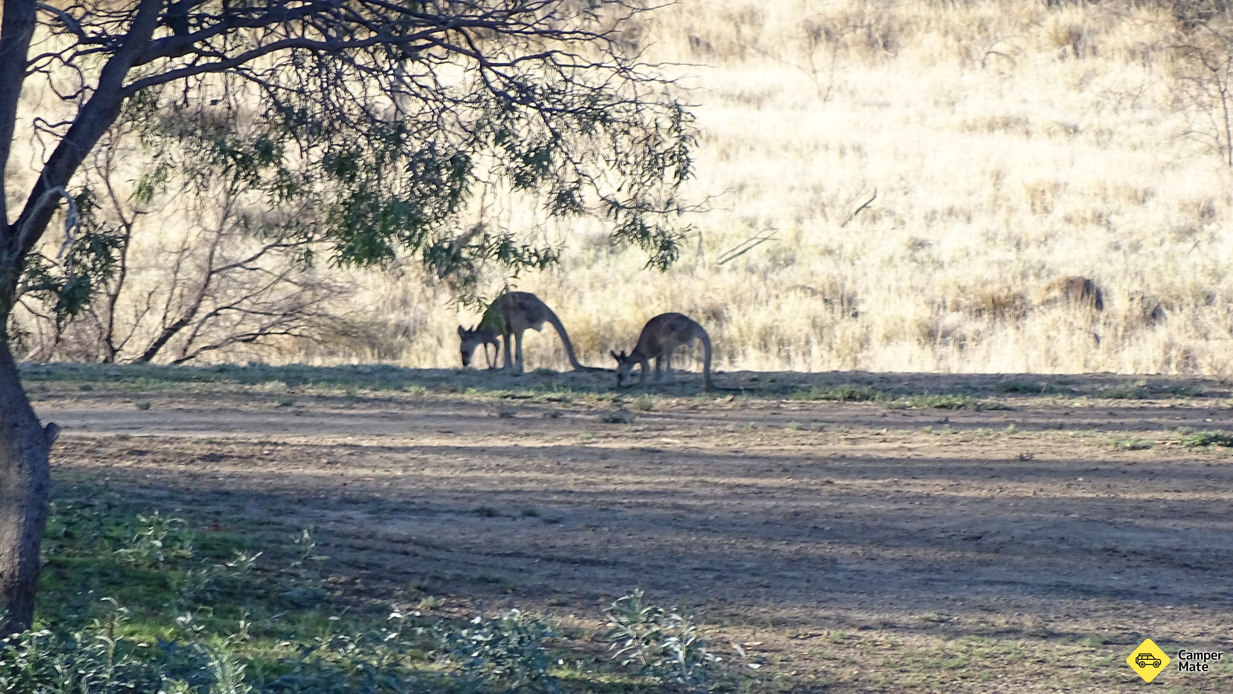 Hughenden RV Parking Area