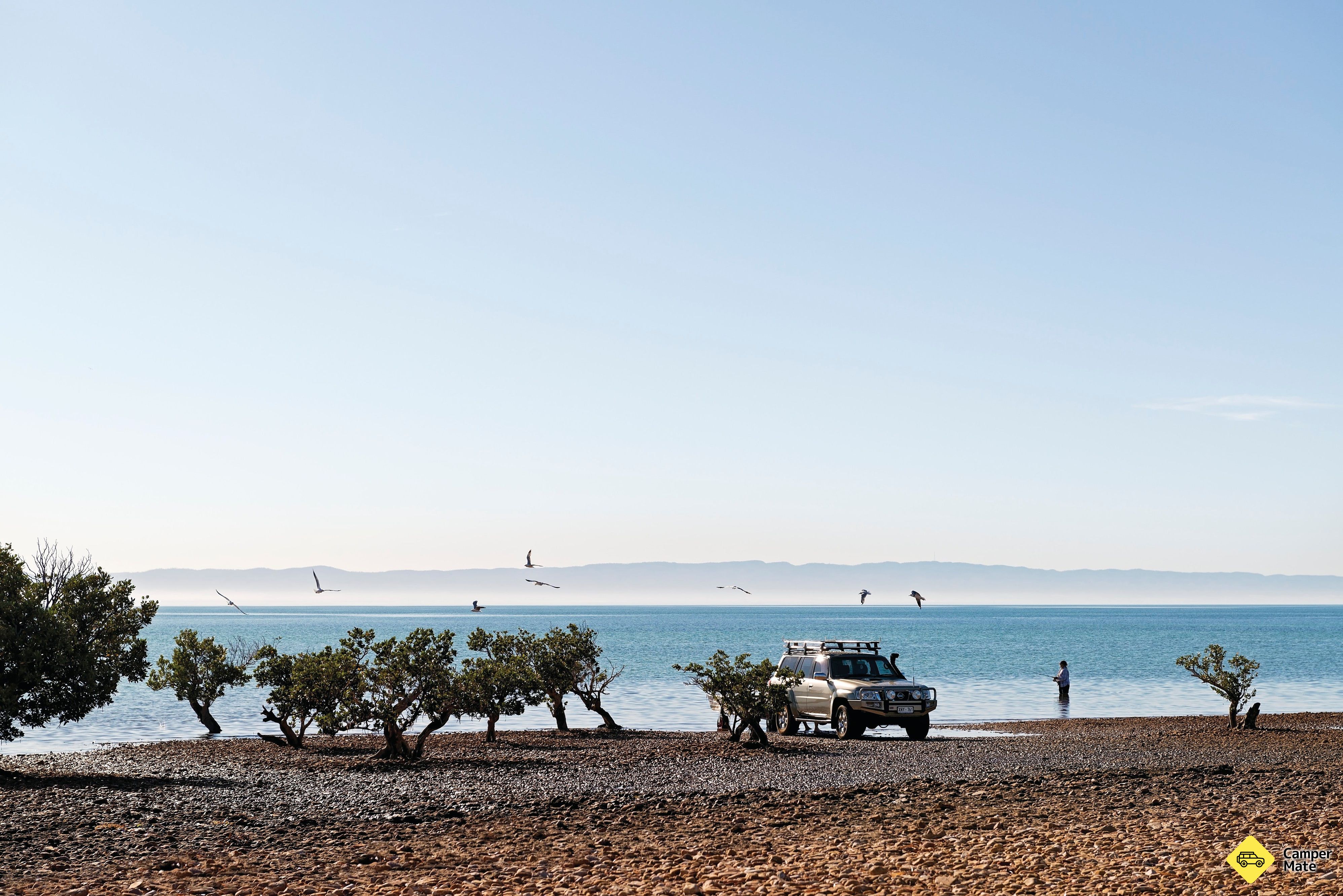 Freycinet Trailová - Image 2