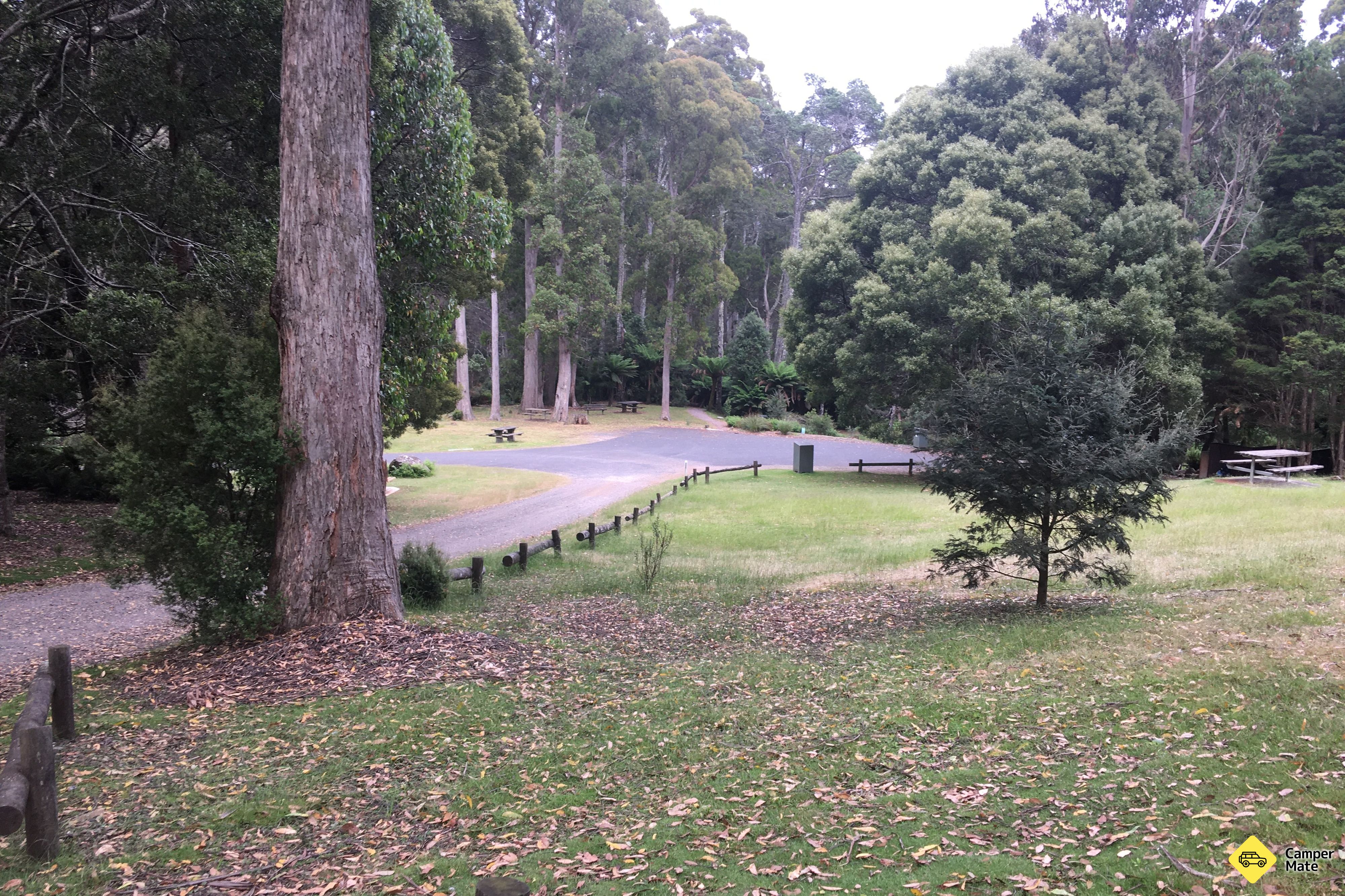 Leven Canyon Reserve - Image 3