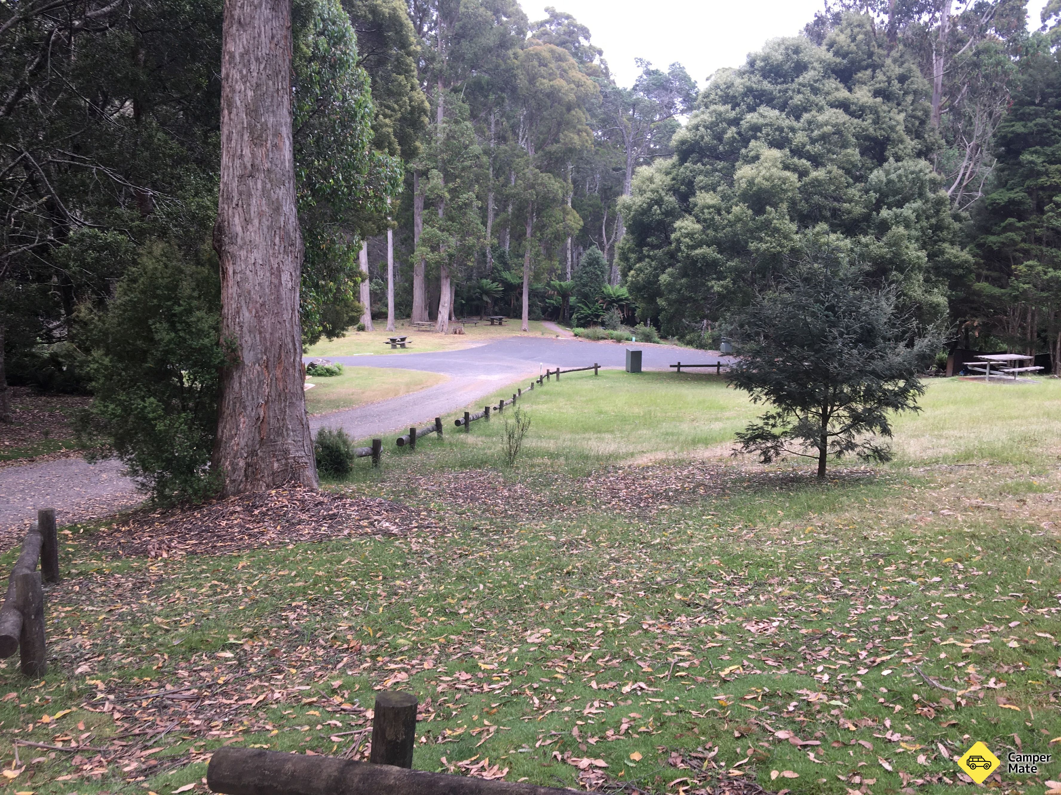 Leven Canyon Reserve - Image 3
