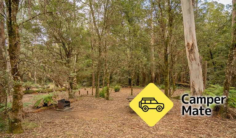 Thungutti Campground - Image 2
