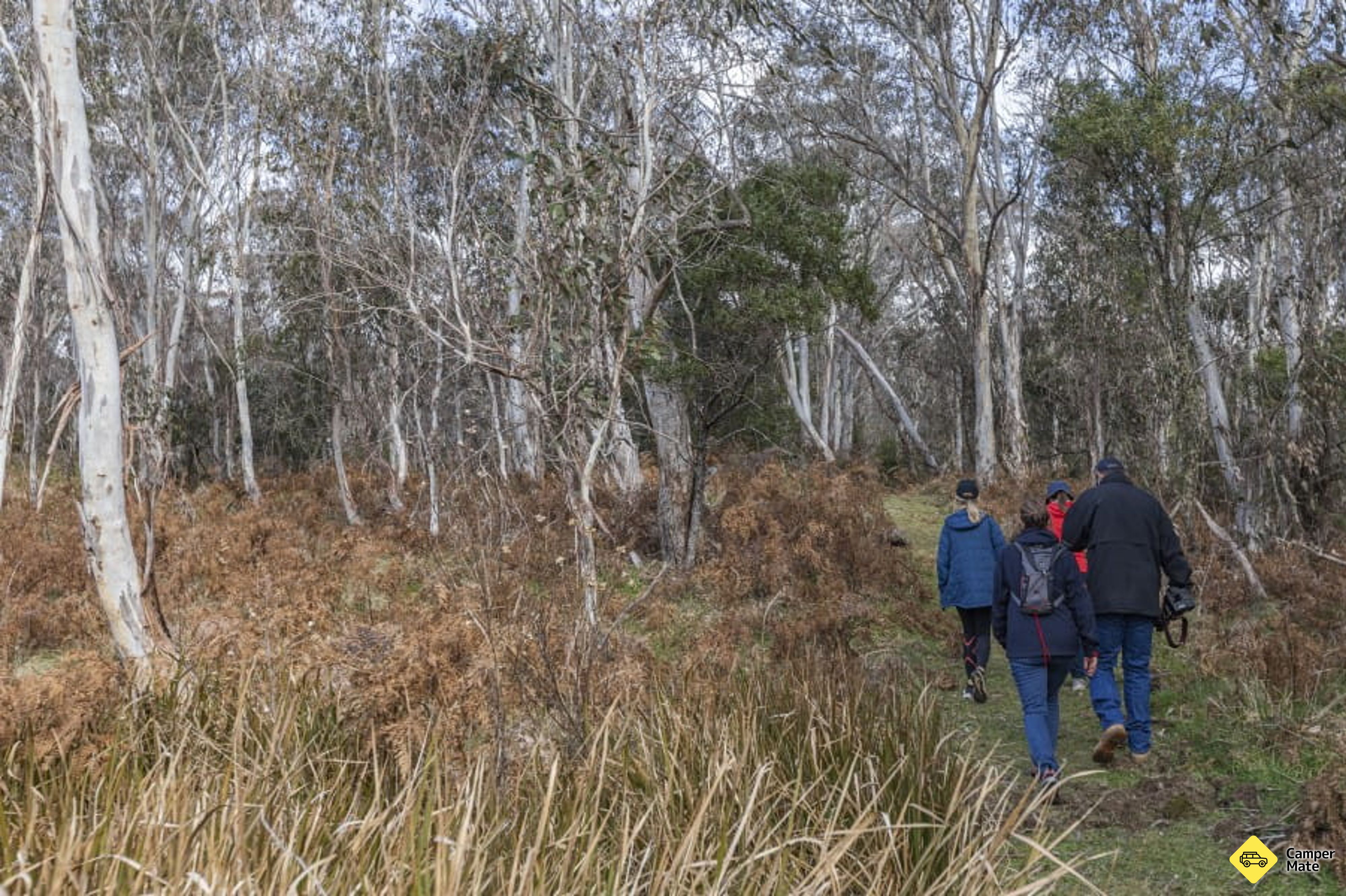 Acties voor Mooraback Campground - Image 3