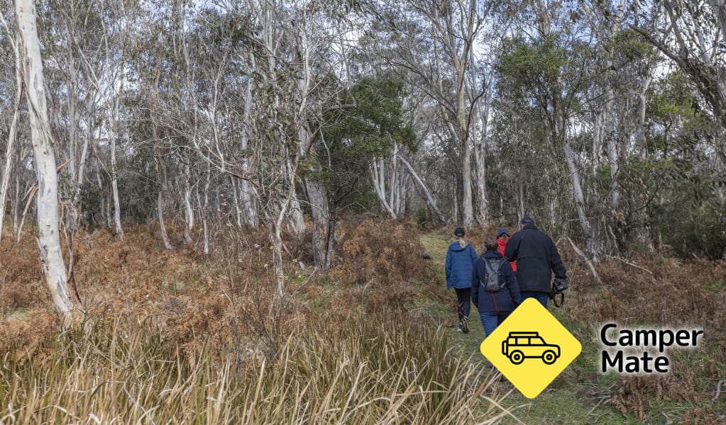 Mooraback Campground - Image 3