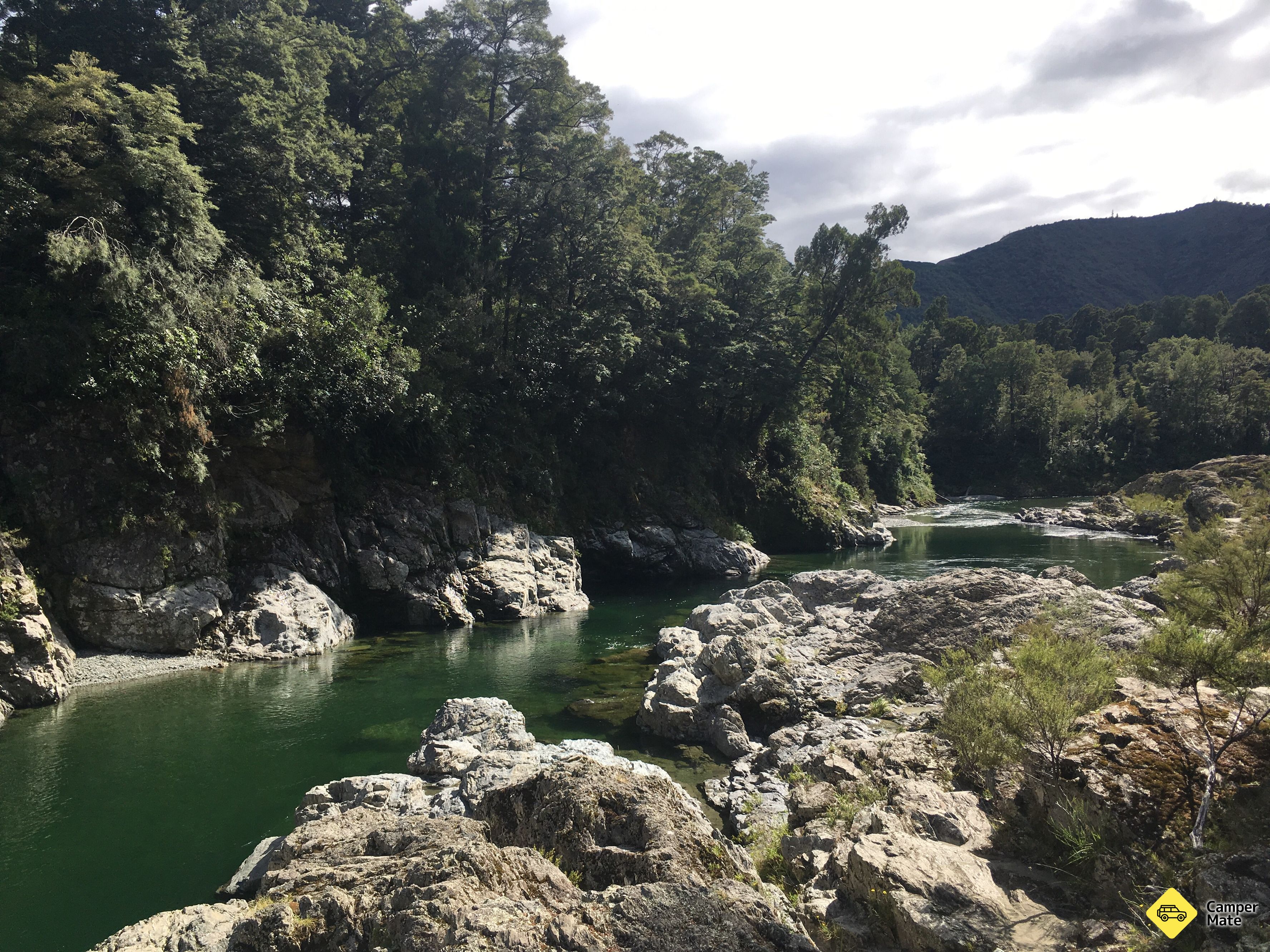 Pelorus ब्रिज रिजर्व - Image 3