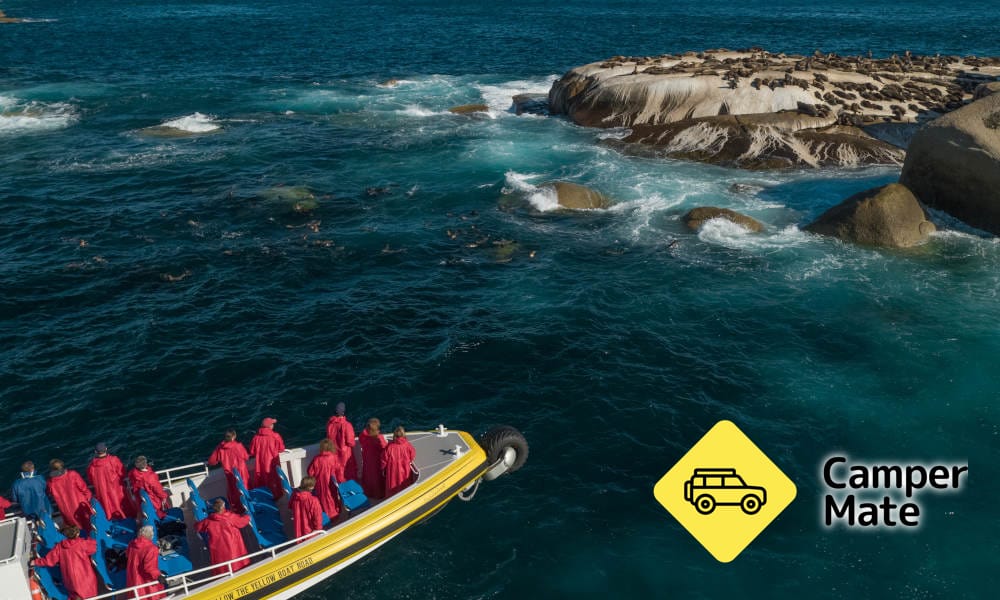 Vuelos a Wilsons Promontory - Image 2