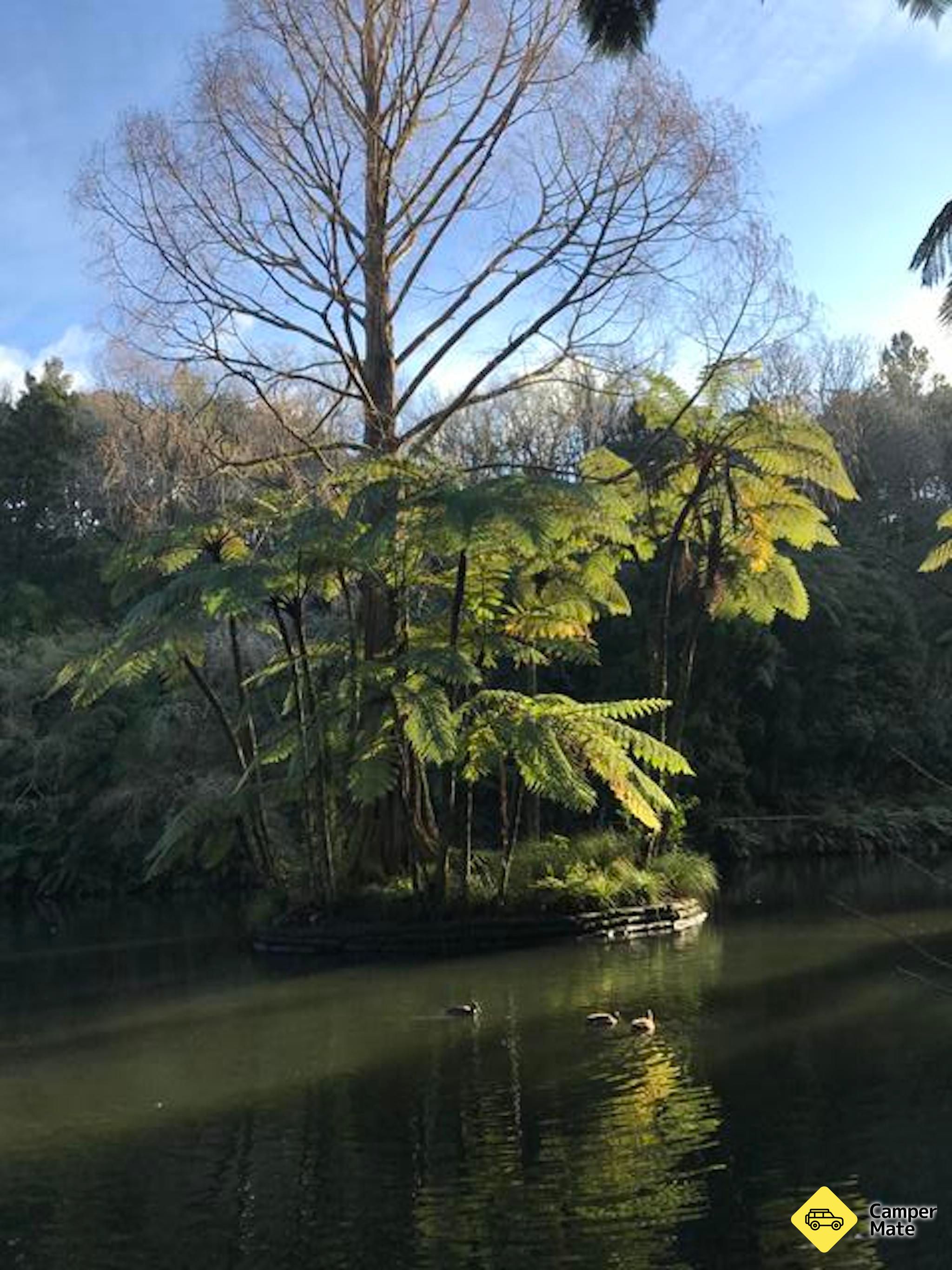 Pukekura Park - Image 2