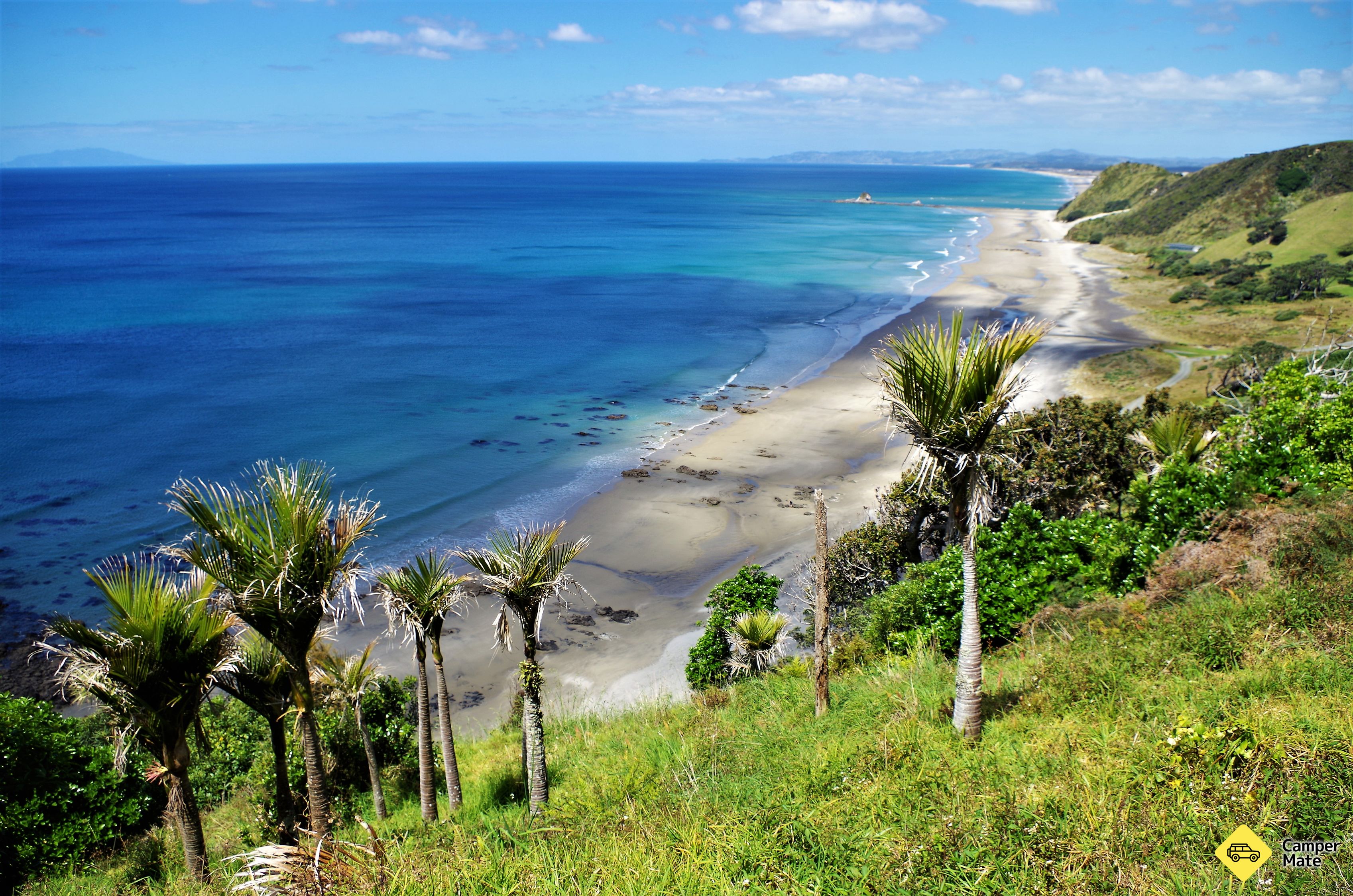 Mangawhai Cliff ด้านบนทางเดิน