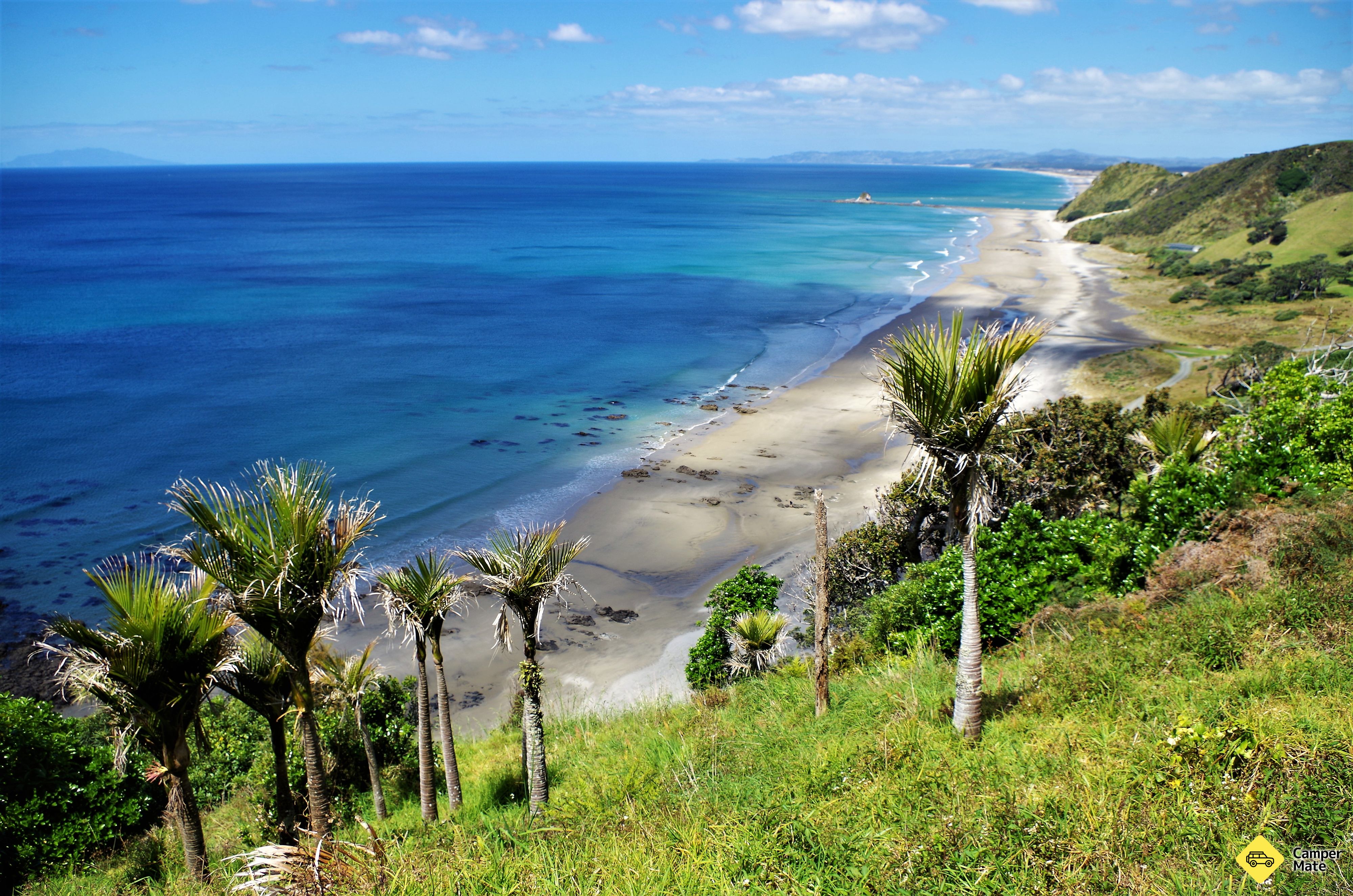 Mangawhai Cliff Top Walkway