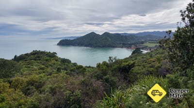 Tauturangi Walkway
