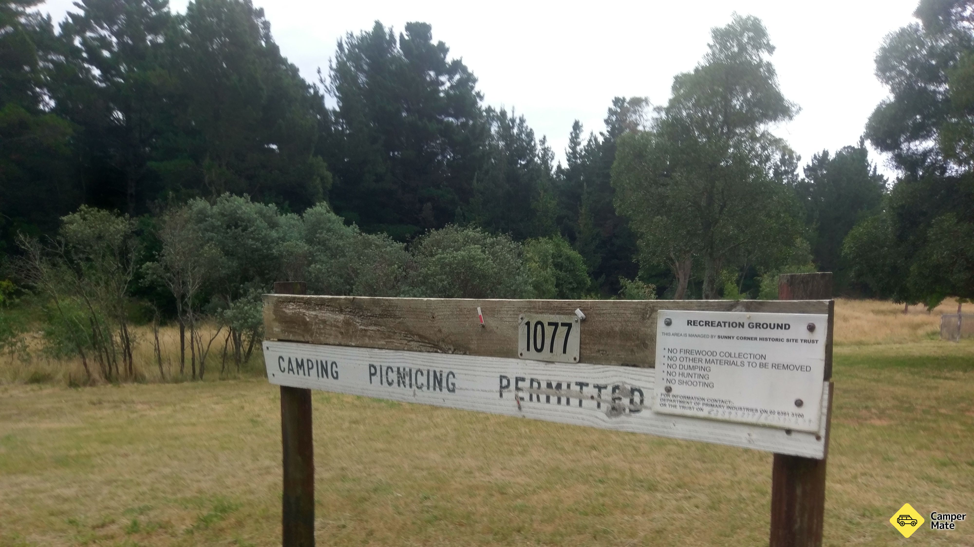 Berry Park photo 5