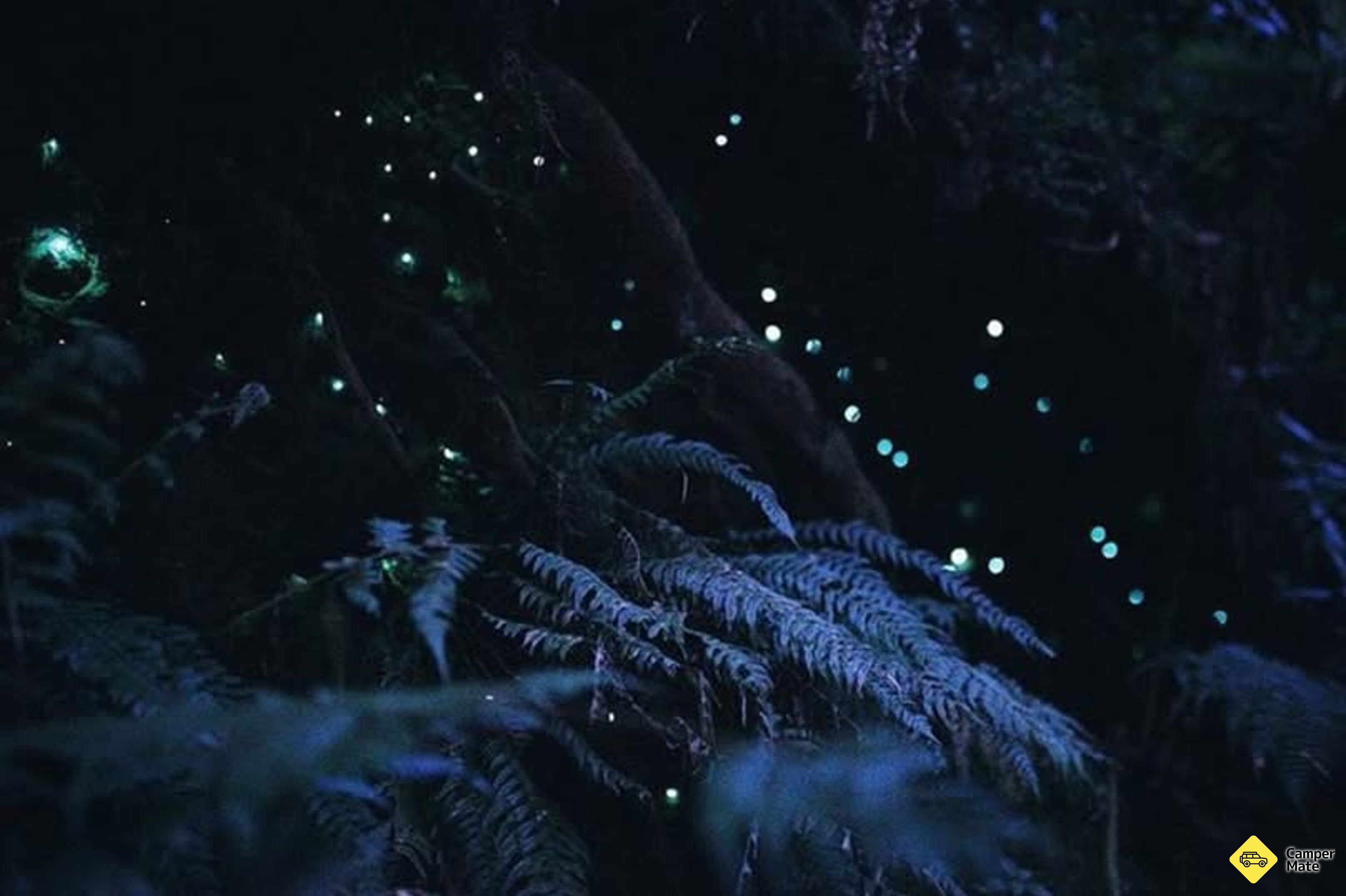 por Melba Gully - Image 2