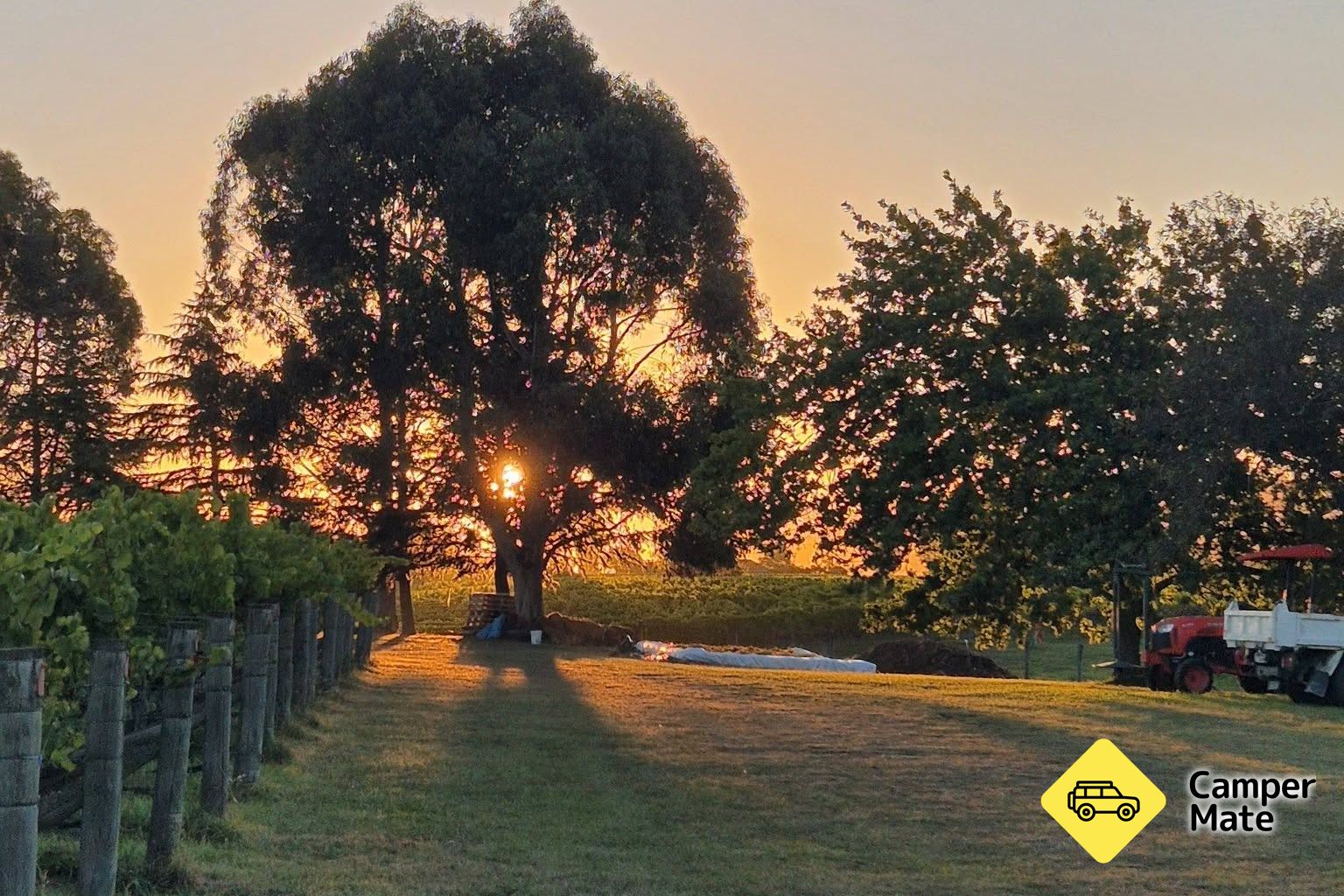 À propos de Te Whare Ra Vineyard & Winery - Image 2