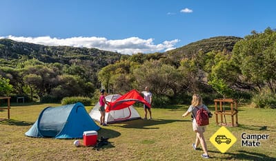 Activiteiten in de omgeving van Tallow Beach Campground