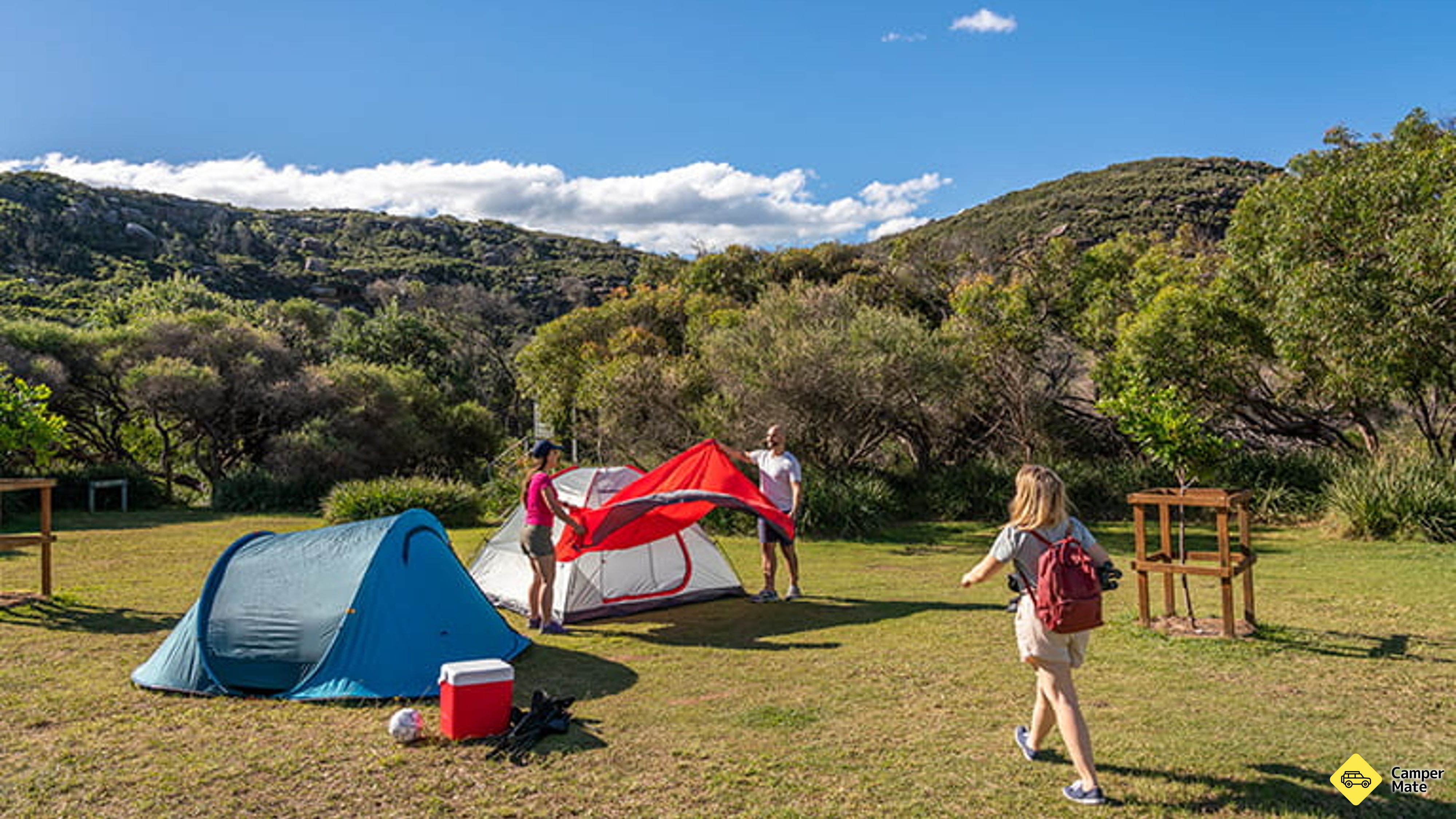Activiteiten in de omgeving van Tallow Beach Campground
