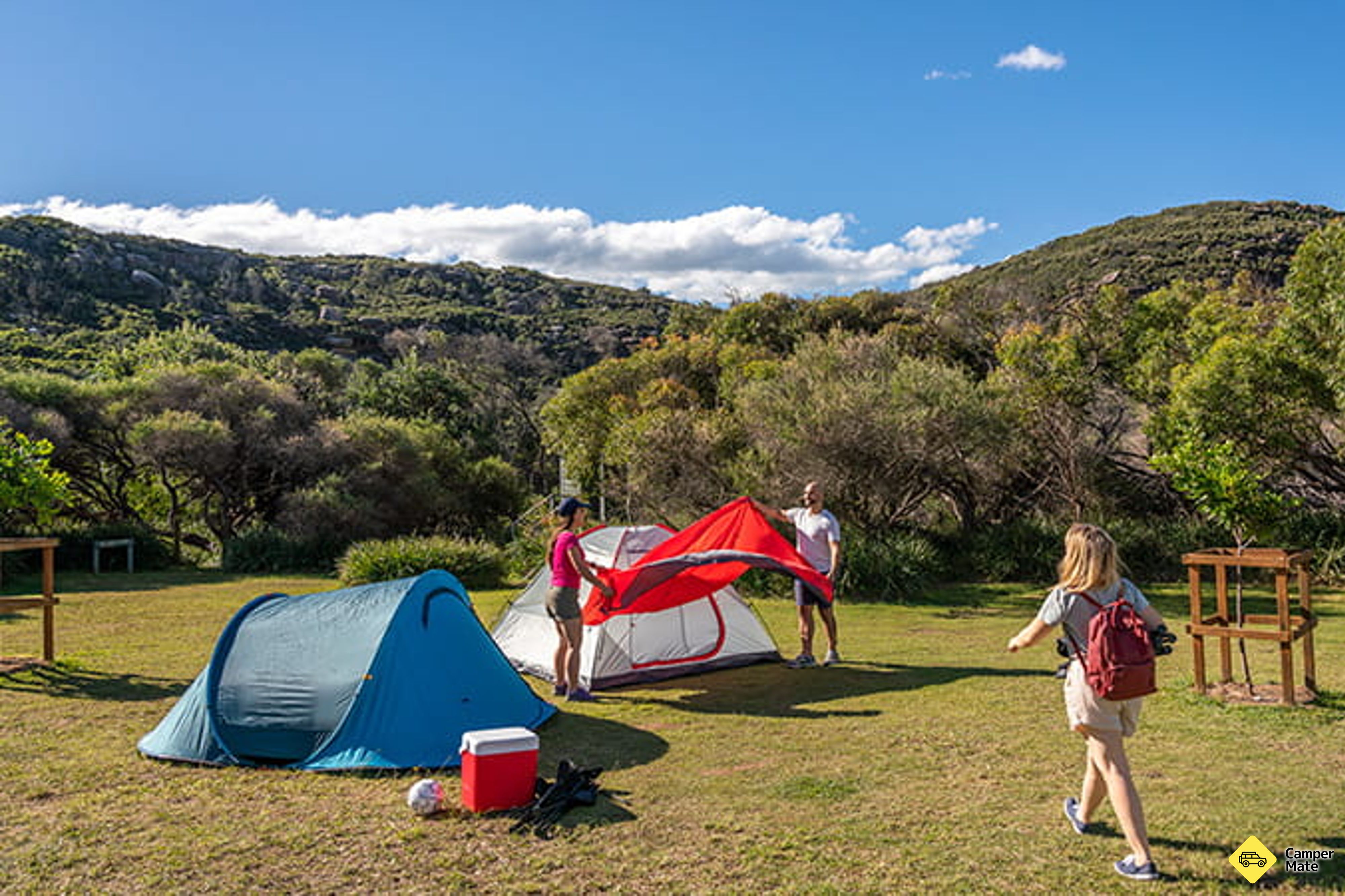 Activiteiten in de omgeving van Tallow Beach Campground