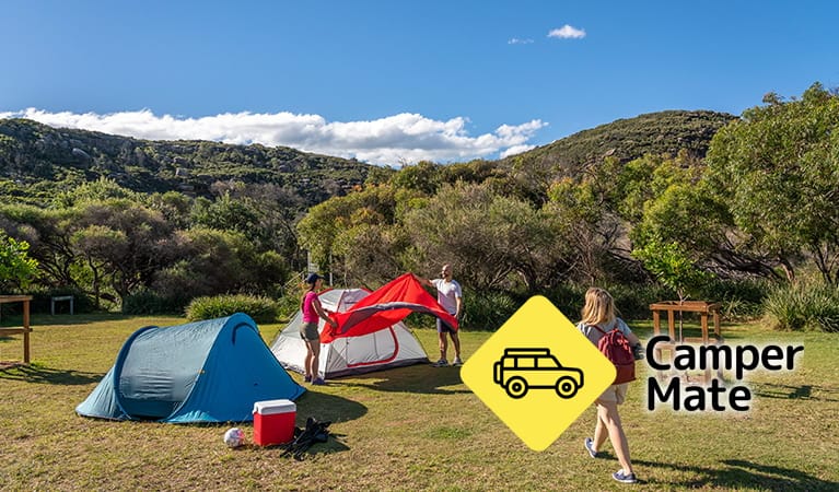 Activiteiten in de omgeving van Tallow Beach Campground