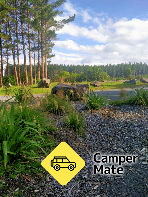 TECT Park Kiwicamp - Image 3