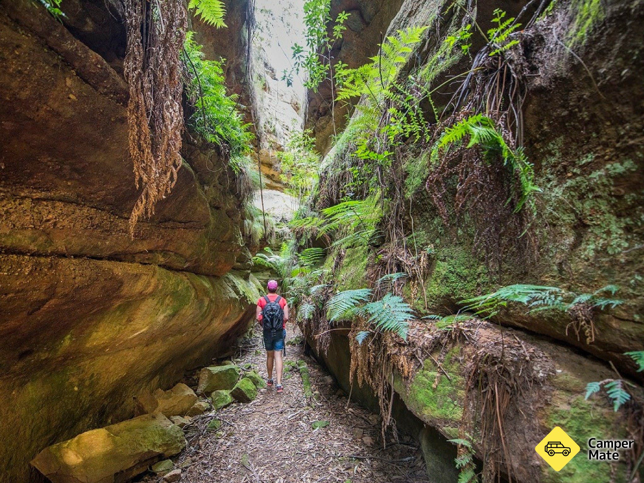 Ferntree Gully Reserve - Image 2