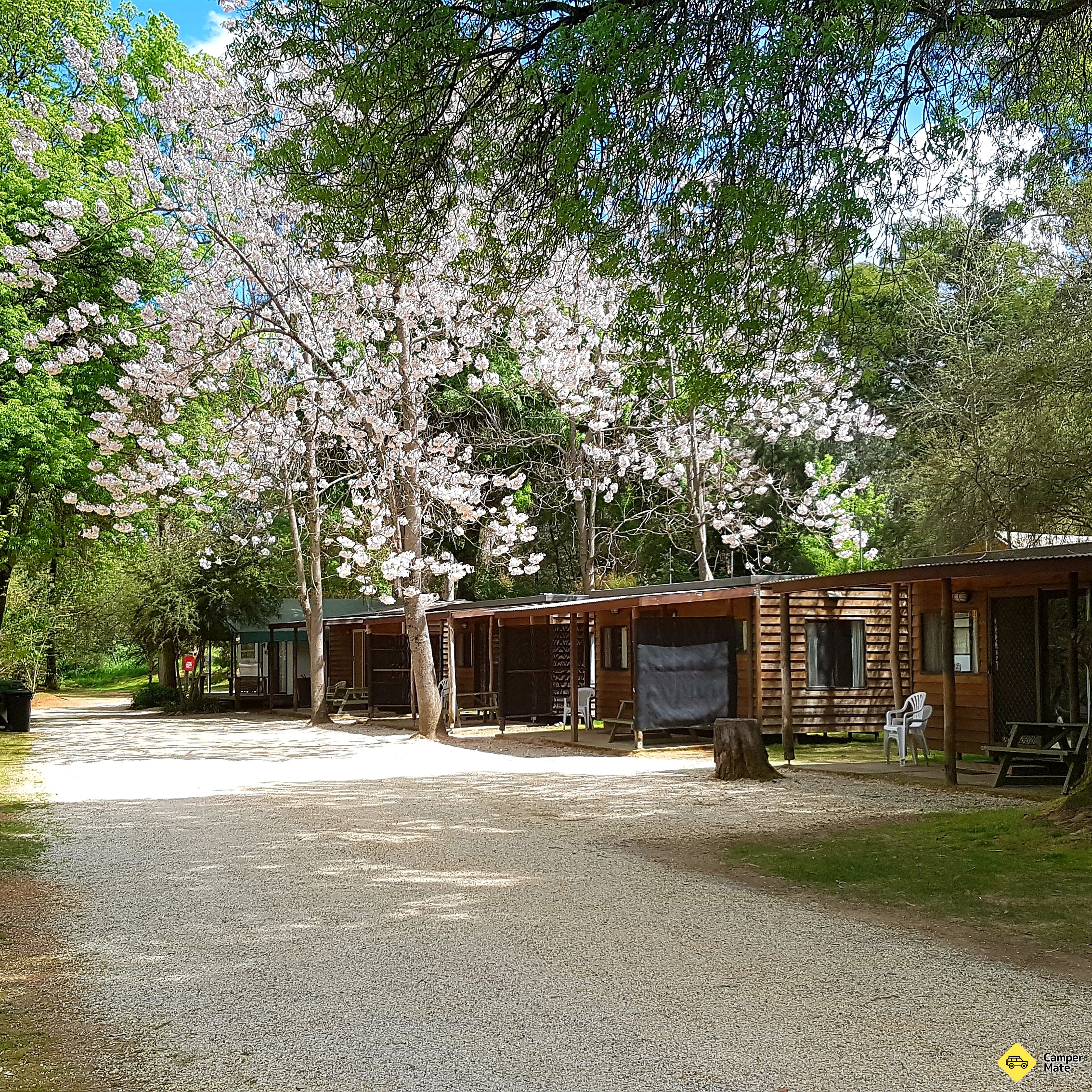 Riverview Caravan Park - Image 2