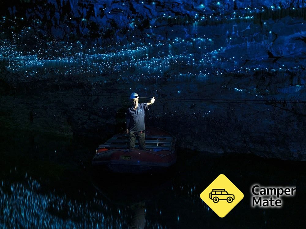 Spellbound Glowworm & Cave Tours 