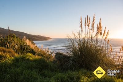 Ngarunui Beach Lookout Walk