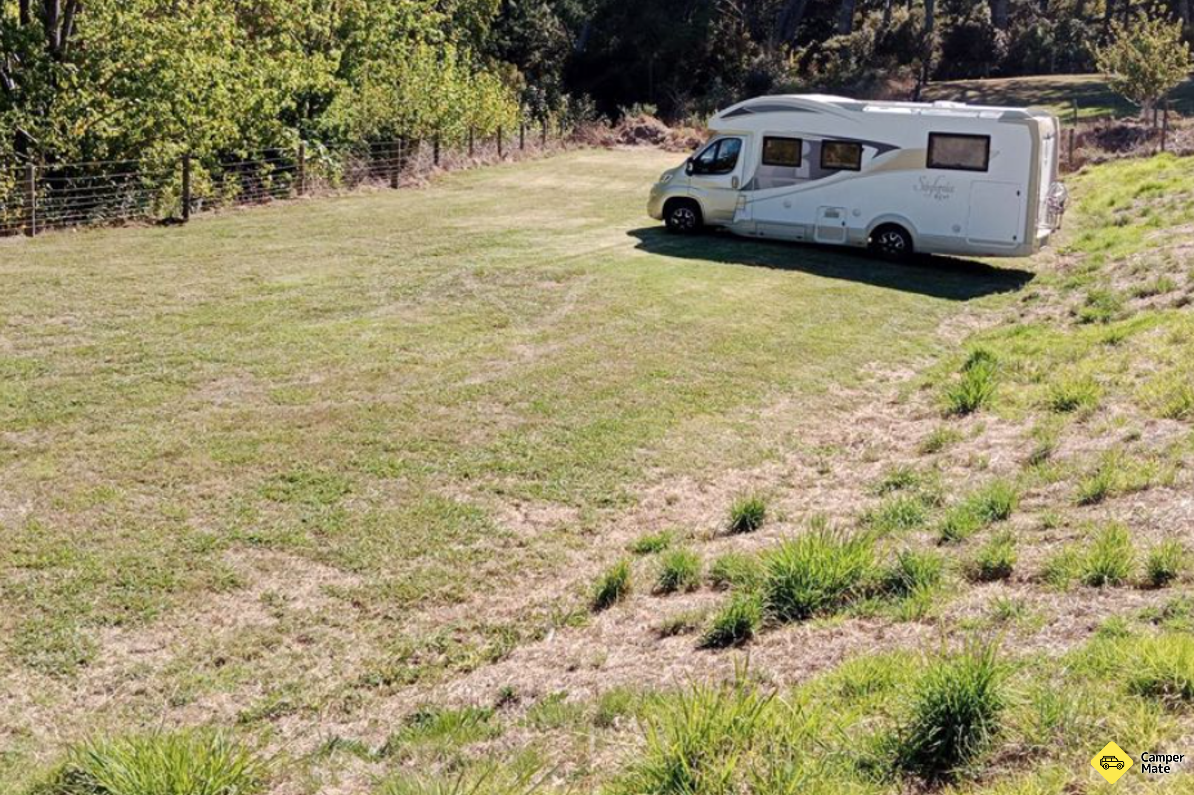 Kaipara Camp and Sculpture Garden - Image 3