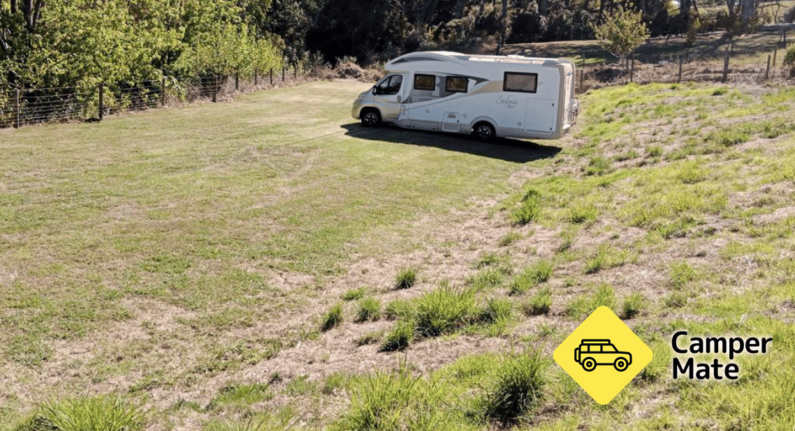 Kaipara Camp and Sculpture Garden - Image 3